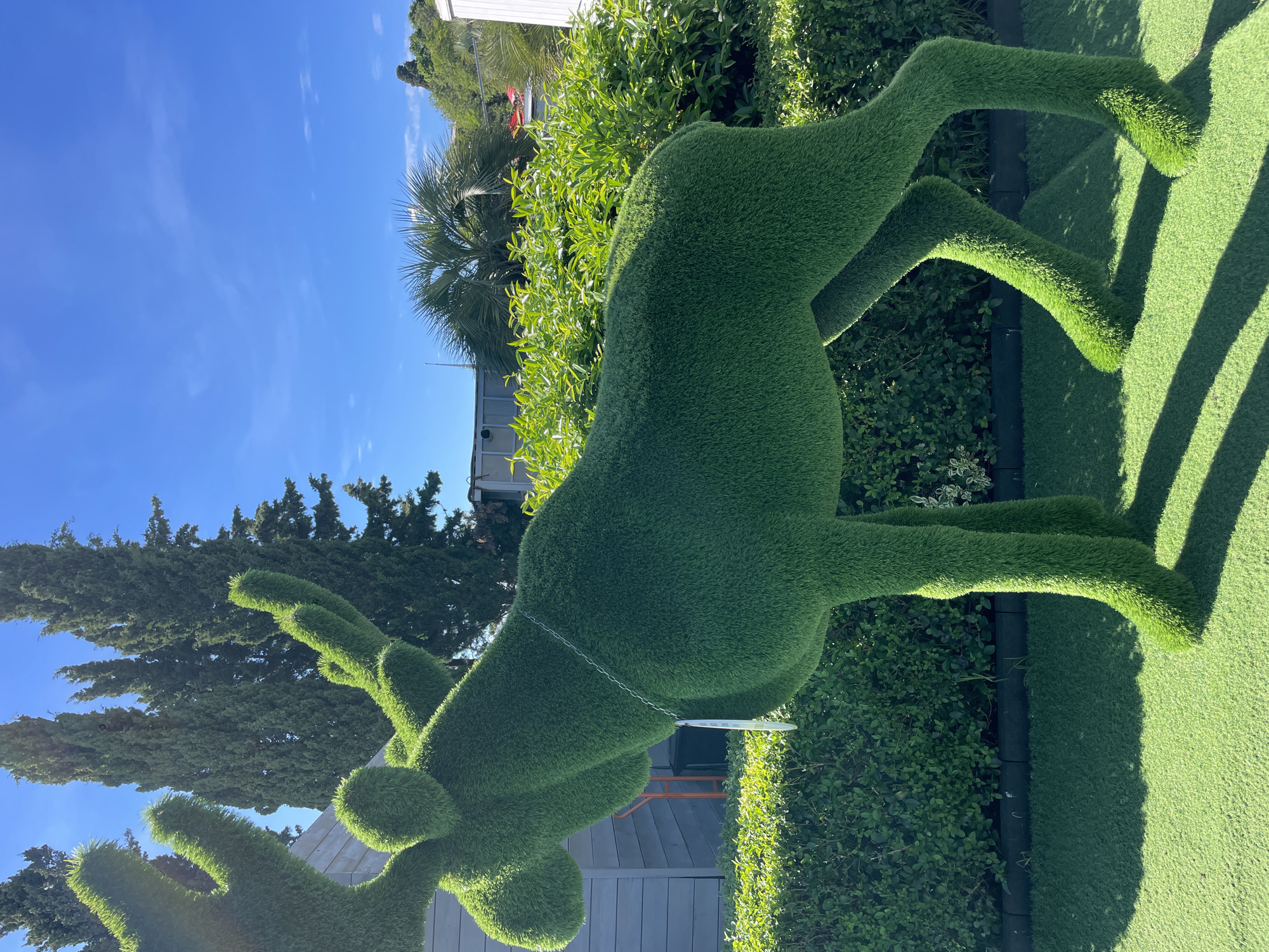 The image captures an outdoor scene featuring a large topiary sculpture of a deer or reindeer, covered in vibrant green artificial grass. The sculpture stands prominently in the foreground, facing right, with its head and antlers visible on the left. A thin silver chain hangs around its neck, from which a small white tag, possibly bearing illegible text, dangles.
The setting appears to be a landscaped garden or park, consistent with a location like Sochi, Russia, known for its warm climate and greenery. The ground beneath the topiary is also covered in artificial turf. In the mid-ground, a dense hedge of lush green bushes forms a backdrop behind the deer's body. Further back, a variety of trees are visible, including tall, slender evergreen trees (possibly cypresses) on the left and a large palm tree on the right. Elements of man-made structures, such as a white building on the far left and a wooden fence or wall behind the deer, are also present.
The scene is bathed in bright daylight, indicated by the clear blue sky with only faint wisps of clouds, and strong, elongated shadows cast by the deer and other objects towards the viewer's right. The shadows highlight the texture of the artificial grass. No specific activity is taking place, presenting a peaceful, static display of garden art. No legible text is visible in the image.