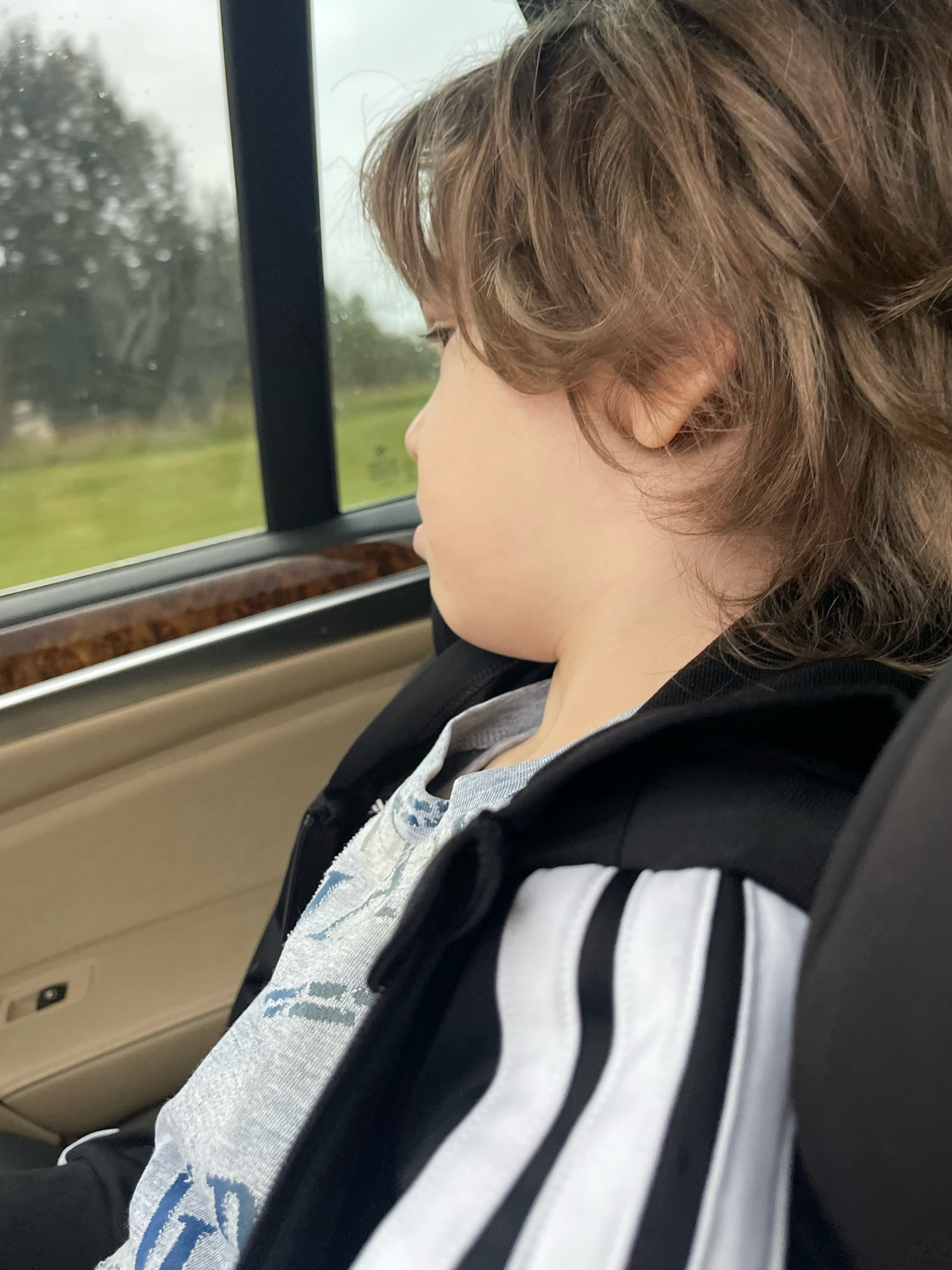 A child with light brown hair is looking out the window of a vehicle. The child is wearing a light blue shirt with a pattern of blue and white shapes, and a black jacket with white stripes on the sleeve. The interior of the vehicle is visible, with beige upholstery and a wooden trim along the window. Outside the window, green grass and trees are visible under an overcast sky. The image appears to be taken from inside the vehicle, looking towards the right side. There is no indication that this image is related to the city of Tallinn, Estonia.