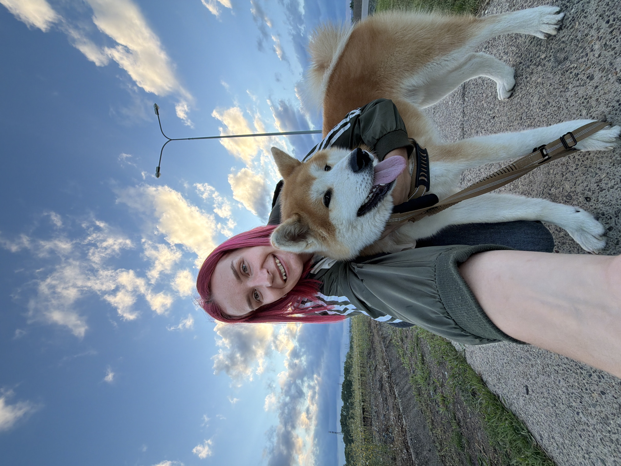 A young woman with pink hair is taking a selfie with an Akita dog on a paved path. The woman is wearing a dark green jacket with white stripes on the sleeves. The dog is light brown and white, with its tongue out. They are standing outdoors with a blue sky and white clouds in the background. To the left of the path is a field of dry grass and some plants. In the distance, there are trees and industrial structures. A street lamp is visible on the right side of the image. The scene appears to be located on the outskirts of the city of Chaikovsky, Russia, possibly near a rural area or a field on the edge of town.