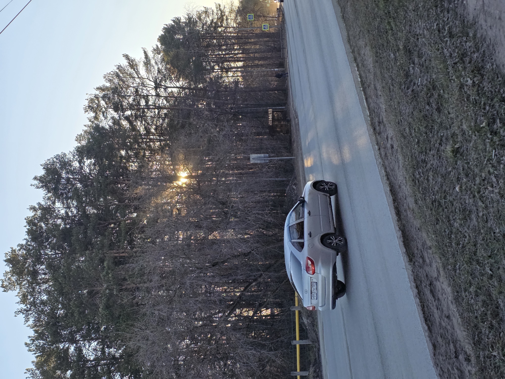 A silver Lada Granta sedan is traveling on a two-lane road near Chaikovsky, Russia. The car's license plate is P943TX59. The road is flanked by a dense forest on one side and a grassy area on the other. Sunlight filters through the trees. The image is shot from an elevated perspective, possibly from a bridge or embankment. A yellow guardrail is visible near the edge of the road. The weather appears clear and bright.