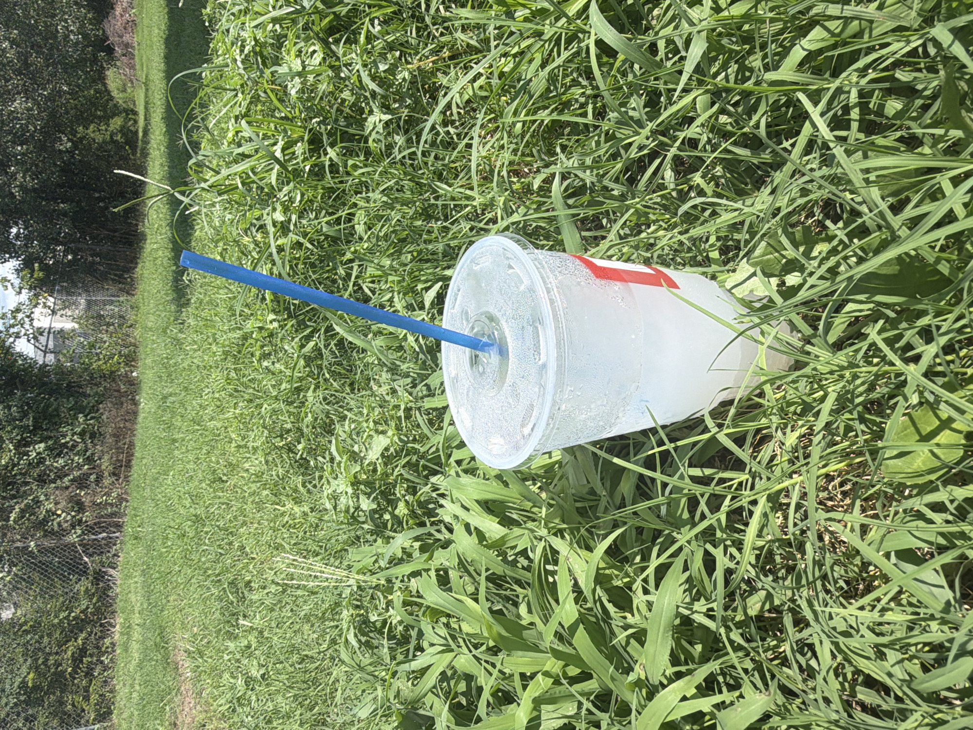 A clear plastic cup filled with ice and a clear liquid, with a blue straw, sits in thick, green grass in a residential backyard. A red and white logo is visible on the side of the cup. In the background, a chain-link fence runs along the edge of the property, with dense green foliage and trees behind it. The sky is visible above the trees, appearing partly cloudy. The scene suggests a warm, sunny day in a suburban or rural setting. The image is taken from a slightly elevated angle, looking down at the cup. No people are present in the frame.