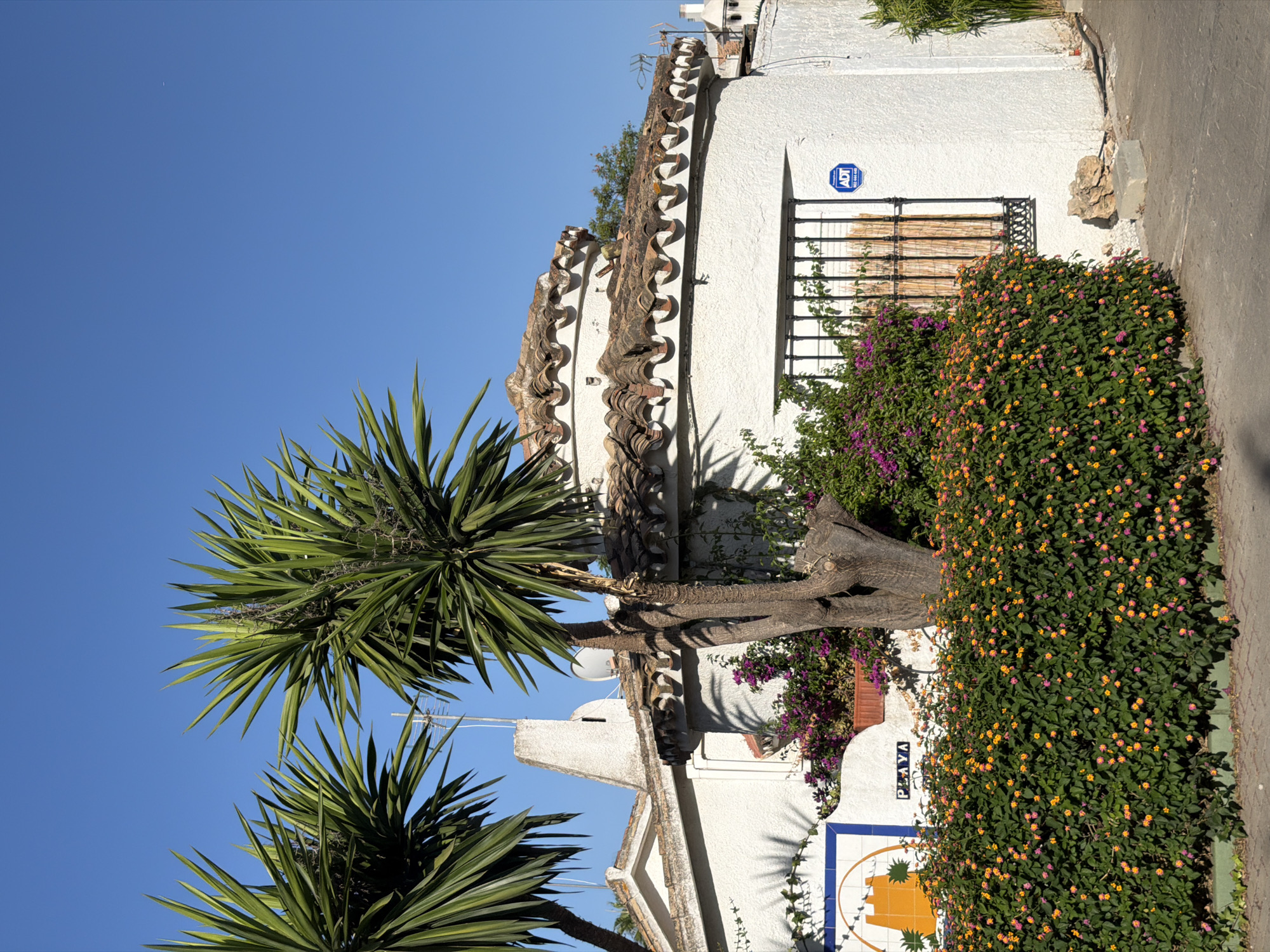 This is a sunlit exterior, street-level, eye-level shot of a white, stucco building with red-tiled roofing in Estepona, Spain. The building features a circular turret section with a decorative tiled roof edge. Two large Yucca trees with spiky fronds are prominent in the foreground. A dense, low hedge covered in small orange and pink flowers runs along the base of the building. To the left, a section of the white wall has a decorative tile mural depicting a yellow structure with palm trees, and the word "PLAYA" (Spanish for beach) is written in blue capital letters below it. A barred window is visible on the curved wall, adorned with an ADT security system sticker. The ground is paved with concrete. The sky is a clear, bright blue.