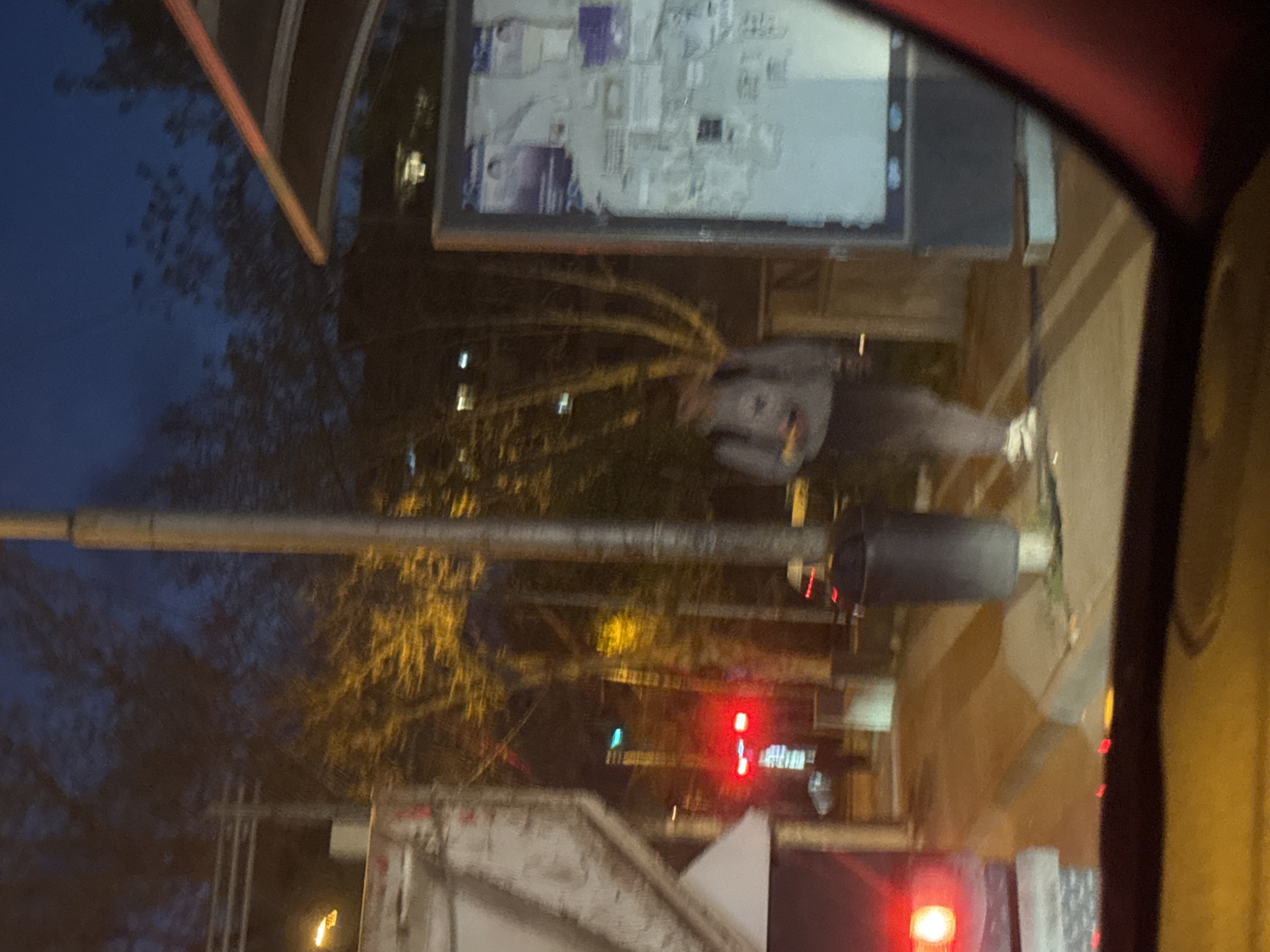 This image, captured from inside a vehicle at dusk or night in Tbilisi, Georgia, presents an urban street scene. The view is partially framed by elements of the vehicle's interior, including a dark red structural component at the top and a dark area with a prominent red light at the bottom, possibly from a dashboard or a vehicle in front.
Outside, the sky is a deep blue, indicative of twilight or early night. Silhouetted trees dominate parts of the background, with some branches illuminated by warm yellow light from unseen streetlights. A tall, light-colored pole, likely a traffic or street light standard, stands vertically in the left-center. Attached to this pole is a traffic light displaying a clear red signal, and a fainter green light is also visible further down.
In the midground, a blurry figure of a person is seen walking. They appear to be wearing light-colored clothing, possibly a grey or white jacket, and are holding something in their hand. A white, cloud-like blur surrounds the person, potentially suggesting breath in cold air or motion blur.
Above the walking person, a large rectangular structure, likely a billboard or digital display screen, is visible. It shows what appears to be a map or various informational posters with indistinct text and graphical elements, including shades of purple and white. Faint outlines of buildings complete the urban backdrop. The overall scene conveys the atmosphere of a city street during evening hours. No specific text is legible due to the image's blurriness.