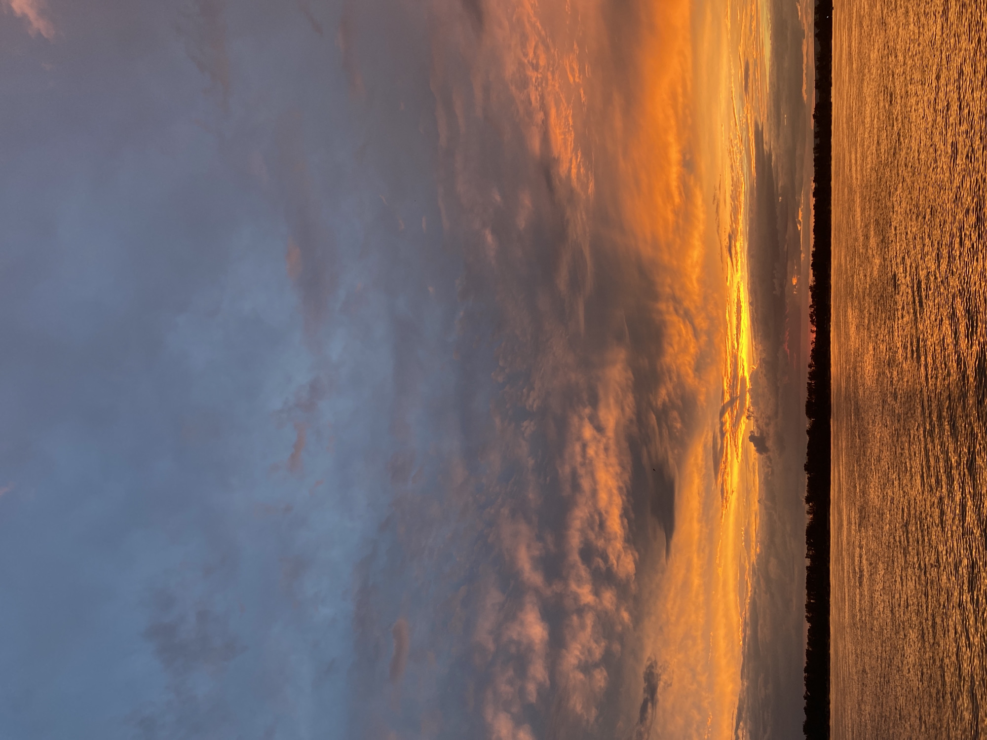 A wide-angle, eye-level shot captures a vibrant sunset over a body of water, likely the Samara River as it flows near Novokuybyshevsk, Russia. The sky is a dramatic canvas of color, transitioning from a muted blue-gray at the top to fiery oranges and reds closer to the horizon. Wispy clouds are illuminated by the setting sun, creating a textured and dynamic effect. A dark, silhouetted treeline forms a distinct horizon line across the middle of the image, marking the edge of land. The water below reflects the intense colors of the sky, appearing as a shimmering expanse of orange and gold. The scene is devoid of any people or specific structures, focusing solely on the natural beauty of the sunset and its reflection on the water.