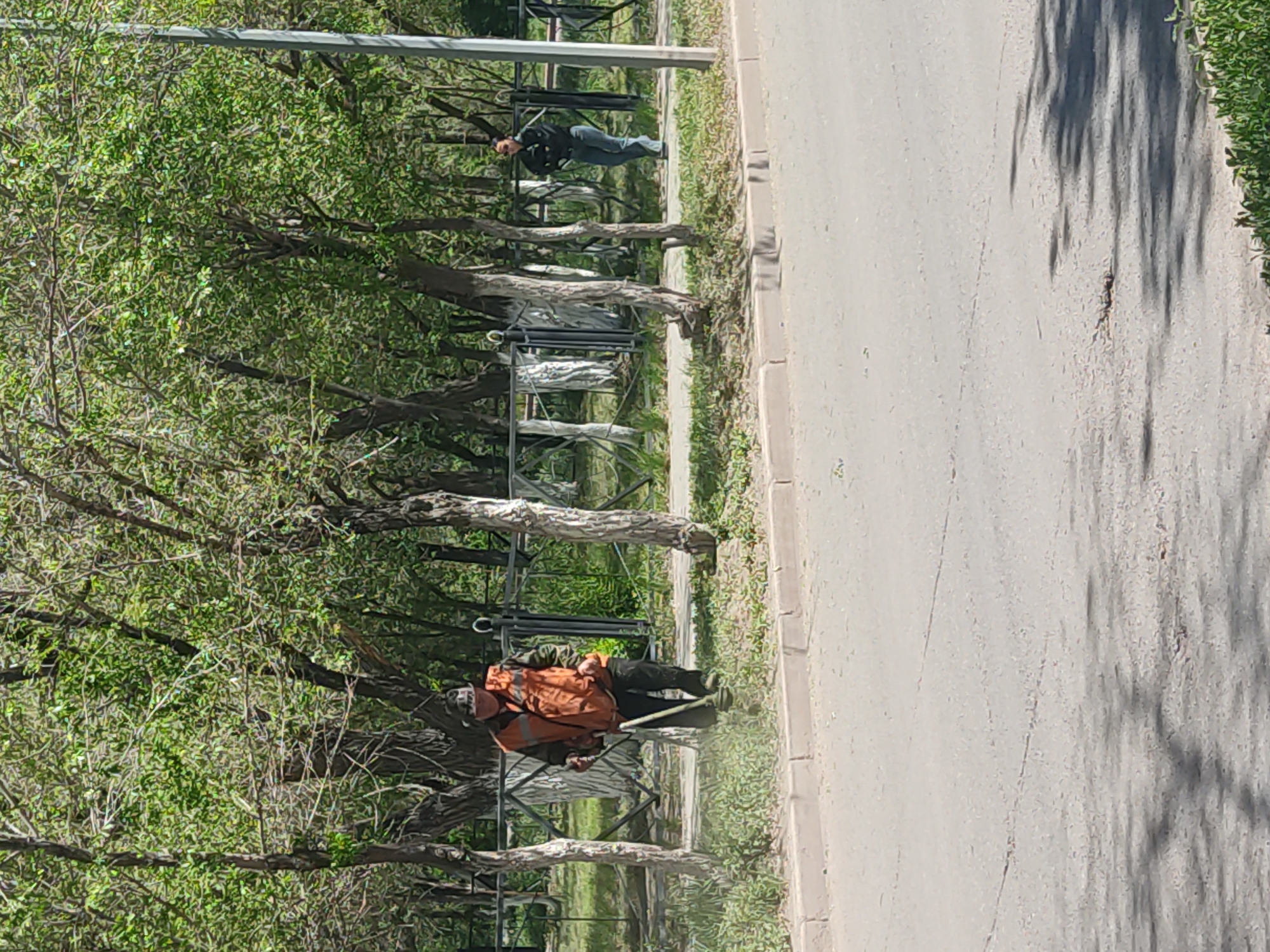 The scene shows two individuals working in a park beside a road in Unknown, Unknown. One person, wearing an orange jacket, black pants, and possibly safety gear, appears to be using a weed whacker or similar landscaping tool on the grass near a metal fence. Another person, wearing a black jacket and jeans, is farther down the path, near the fence, possibly overseeing the work. Trees line the area between the path and the workers. The road is to the right of the park area, with shadows of trees cast upon it. The scene suggests outdoor maintenance is being performed on a sunny day.