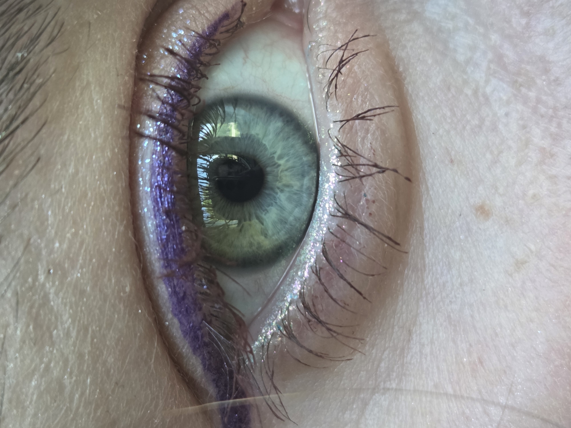 A close-up image of a single eye, with light blue and green iris, surrounded by a light-skinned eyelid. The upper eyelid is lined with purple eyeliner and has visible mascara on the eyelashes. Iridescent glitter is present on both the upper and lower eyelids. The image captures a reflection of an outdoor scene within the eye, containing elements of trees and possibly buildings. The location details and city of Unknown, Unknown are not visible in the image.