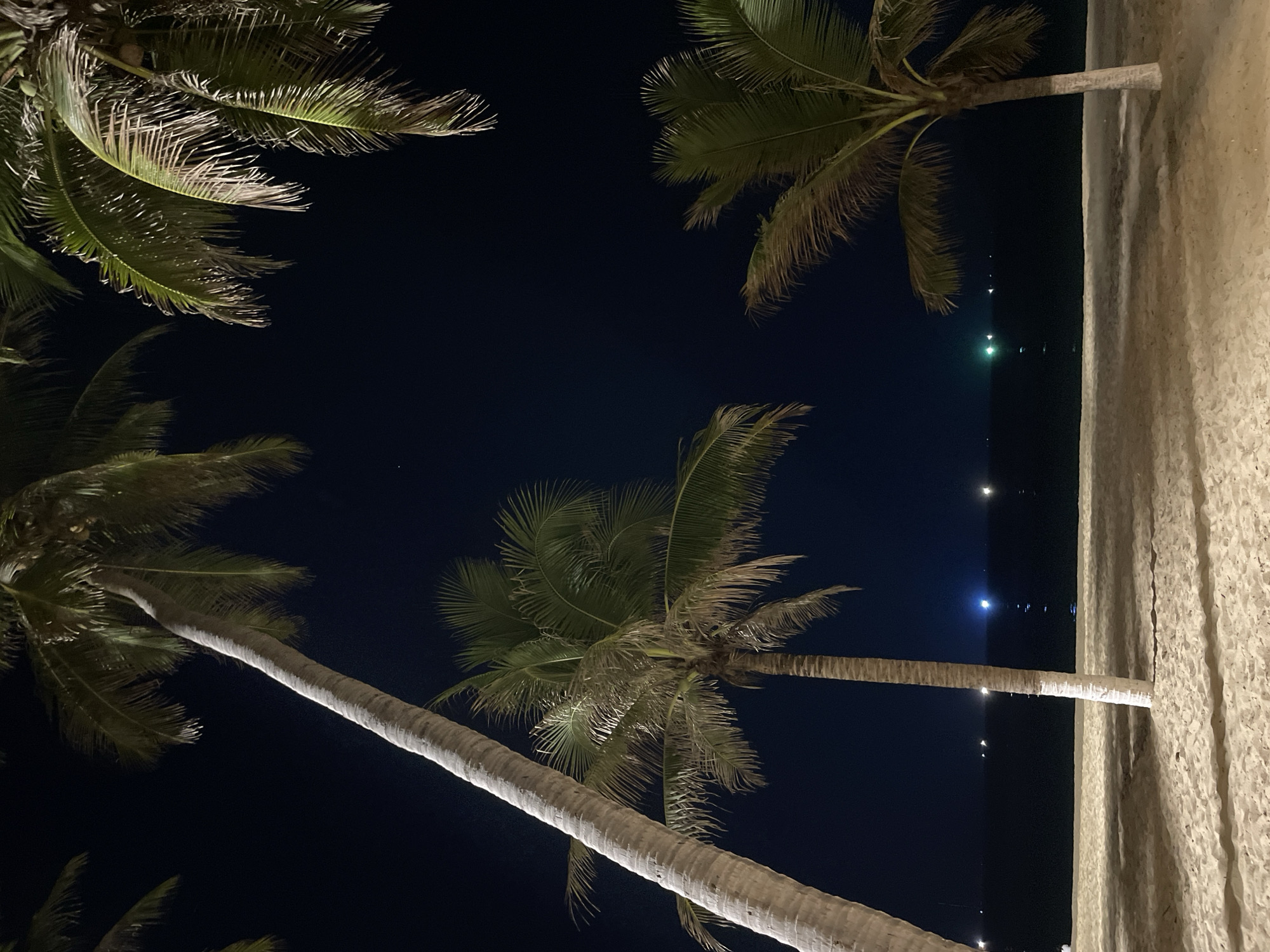 At night in Nha Trang, Vietnam, several palm trees are visible against a dark sky. The trees appear to be on a beach, and faint lights can be seen on the water in the background. The sand is light-colored.