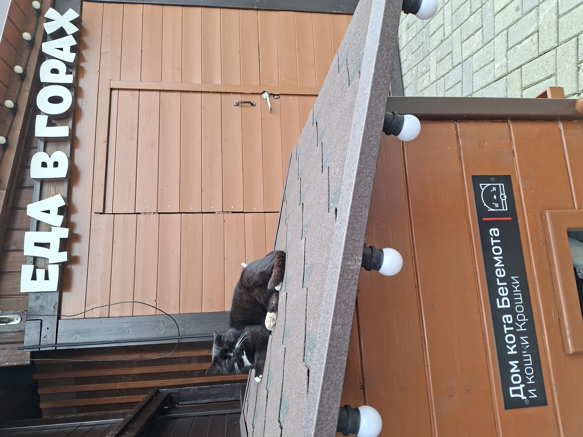A black and white cat is resting on a brown, shingled roof of a small wooden structure. The cat is lying on its side, with its head turned towards the viewer, its eyes partially closed. White lettering on the building behind the cat reads "ЕДА В ГОРАХ" (Food in the Mountains). A black door with a silver handle is visible on the building. Below the cat, on the side of the wooden structure, there is a black sign with white text that reads "Дом кота Бегемота и кошки Крошки" (House of Begemot the Cat and Kroshki the Cat) and a stylized image of a cat's face. There are several white, spherical lights attached to the overhang of the roof. The ground in front of the structure is paved with light-colored rectangular stones. The overall scene appears to be outdoors, possibly in a park or an establishment in Estosadok, Russia, given the presence of the signage.