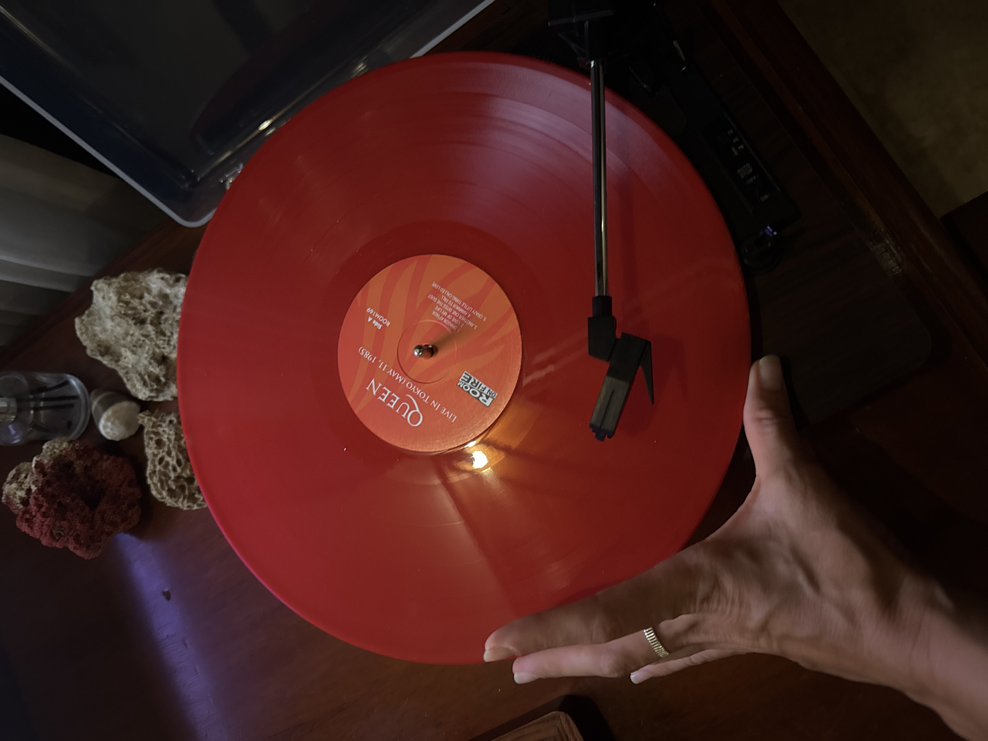 An overhead shot captures a vibrant red vinyl record playing on a turntable in an indoor setting, likely a home in Kuta Selatan, Indonesia. The record is centrally placed, featuring a label with a warm orange and yellow design. The visible text on the label clearly identifies the album as "QUEEN LIVE IN TOKYO (MAY 11, 1985)" and displays the "ROOM ON FIRE" logo. It's "Side A," labeled "ROOM169," with a tracklist including "DRAGON ATTACK," "LOVE OF MY LIFE," "ANOTHER ONE BITES THE DUST," "HAMMER TO FALL," and "CRAZY LITTLE THING CALLED LOVE."
A black tonearm with a cartridge rests on the grooves of the spinning record. To the right, a human hand with manicured fingernails and a simple silver ring on the ring finger extends towards the turntable, positioned as if about to interact with the device or simply resting nearby.
The turntable's clear dust cover is partially visible in the upper left corner. The entire setup rests on a dark wooden surface, possibly a table or shelf. Various decorative items are scattered to the left of the record: textured, natural objects resembling coral or sponges (one red, one beige), small smooth stones, and a clear glass bottle with dark reeds, possibly a diffuser. The lighting is relatively dim, creating soft reflections on the shiny record surface. Visible controls on the turntable indicate speed settings (33, 45, 78) and an auto-stop function. The scene evokes a calm atmosphere of listening to music.