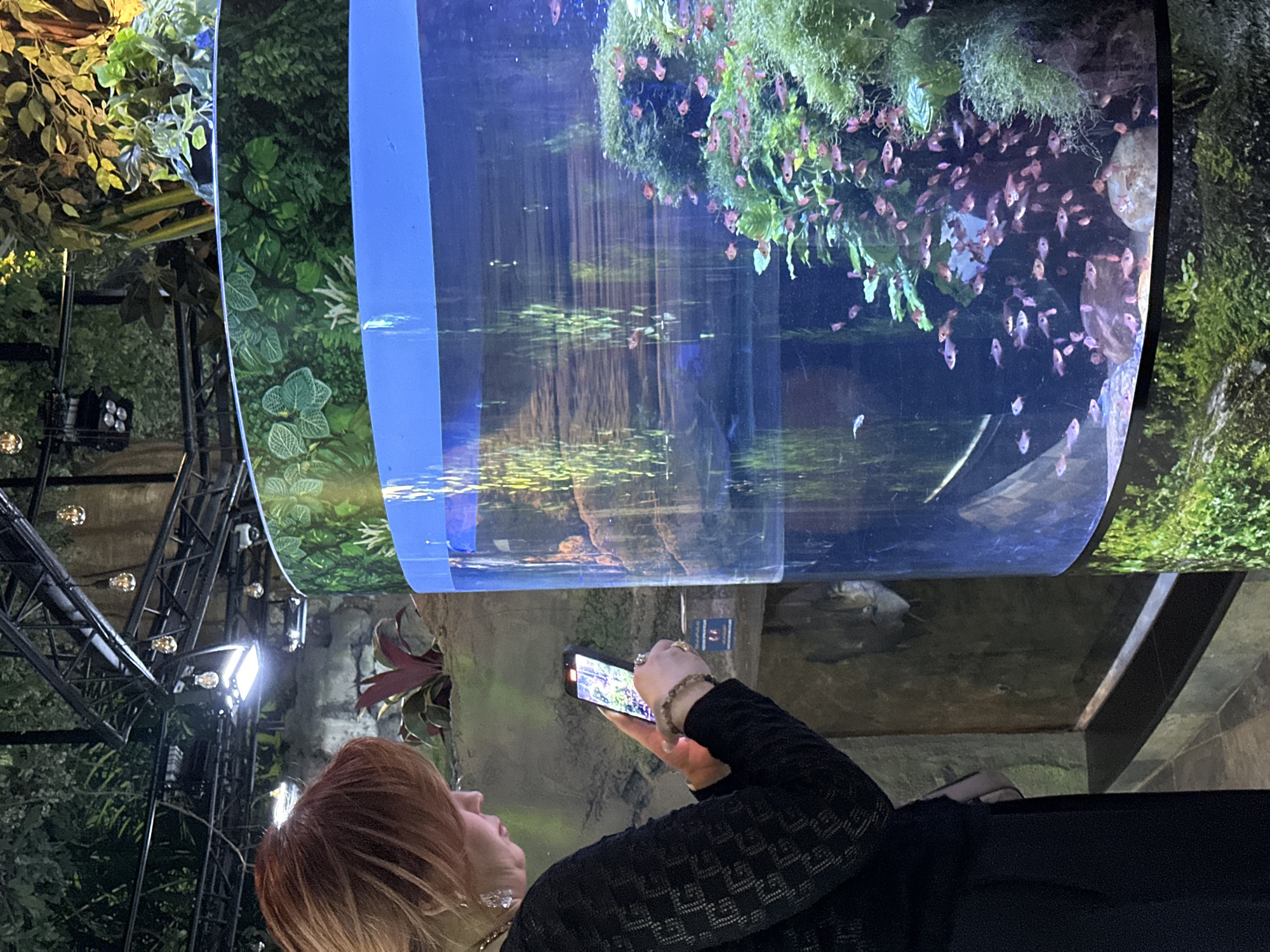 An indoor scene features a woman from a side-back angle, holding a smartphone to photograph a large, curved or cylindrical aquarium. The woman has shoulder-length reddish-blonde hair and is wearing a dark, textured long-sleeved top, with an earring, bracelet, and ring visible. Her phone screen is illuminated, casting a soft glow on her hand.
The prominent aquarium showcases numerous small, light-colored fish (appearing pinkish-brown) swimming in schools, particularly near a large cluster of green aquatic plants and moss at the top. The water surface within the aquarium reflects elements of the surrounding environment, including bright lights and greenery.
The area around the aquarium is richly decorated with lush, dark green foliage, appearing to be artificial plants, creating an immersive, jungle-like atmosphere. Visible in the background are structural elements made of black metal scaffolding, adorned with bright spotlights and decorative filament bulbs, providing illumination to the scene. The lighting is dim overall, with the aquarium and artificial fixtures providing the main sources of light, suggesting an evening setting or a specially lit indoor environment. The setting appears to be a large-scale public attraction, such as an aquarium or a themed indoor garden, located in Dubai, United Arab Emirates, based on context. No discernible text is visible in the image.