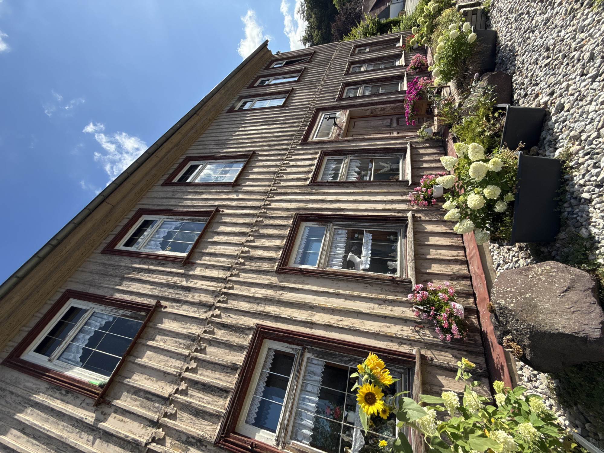 This is a low-angle, wide shot of a rustic, weathered wooden building in Walkenried, Germany. The building has multiple windows with white lace curtains, and several planters filled with colorful flowers adorn the front. A large, dark rock sits in the foreground, surrounded by small pebbles. The sky is blue with a few wispy clouds. The overall scene suggests a charming, somewhat aged property in a rural setting.