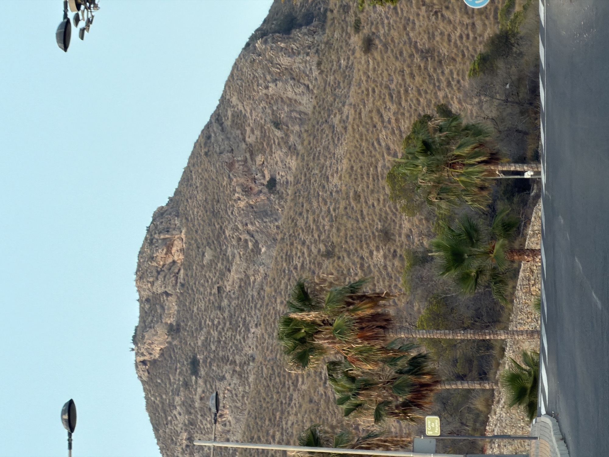 The image depicts a sunlit outdoor scene featuring a barren, rocky hillside in the background. In the foreground, an asphalt road curves to the left. Several palm trees are visible, with lush green fronds and brown trunks. One palm tree stands prominently in the mid-ground to the right. A light pole with a street lamp is located on the left side of the road. A rectangular street sign, reading "Carrer de Panama" with a yellow background and black text, is mounted on a pole near the left edge of the image. The sky is clear and light blue. The overall environment suggests a warm, possibly arid climate, characteristic of the Costa Blanca region.