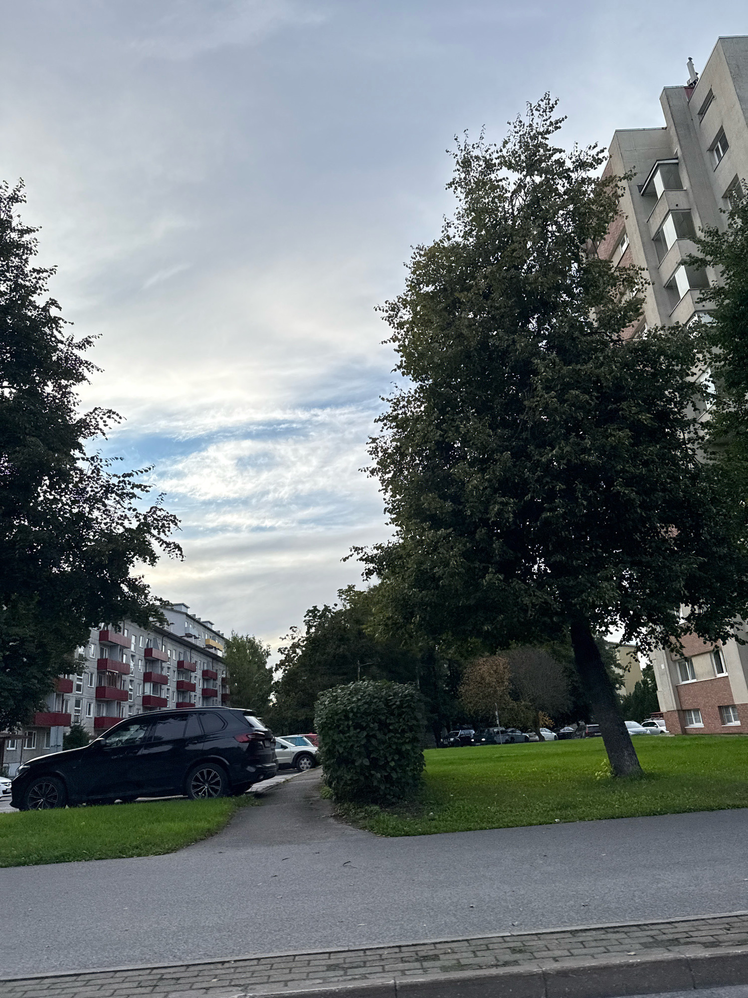 The image depicts an urban street scene in Tallinn, Estonia, likely during daylight hours with overcast skies. A dark-colored SUV is parked on the grassy verge next to a paved sidewalk and road. In the background, multi-story apartment buildings with red balconies line the street. A large, mature tree with dark green foliage stands prominently in the foreground, leaning slightly towards the right. Beyond the parked SUV, several other vehicles are visible in a parking area, also situated on a grassy expanse. The overall impression is of a typical residential area within a city.