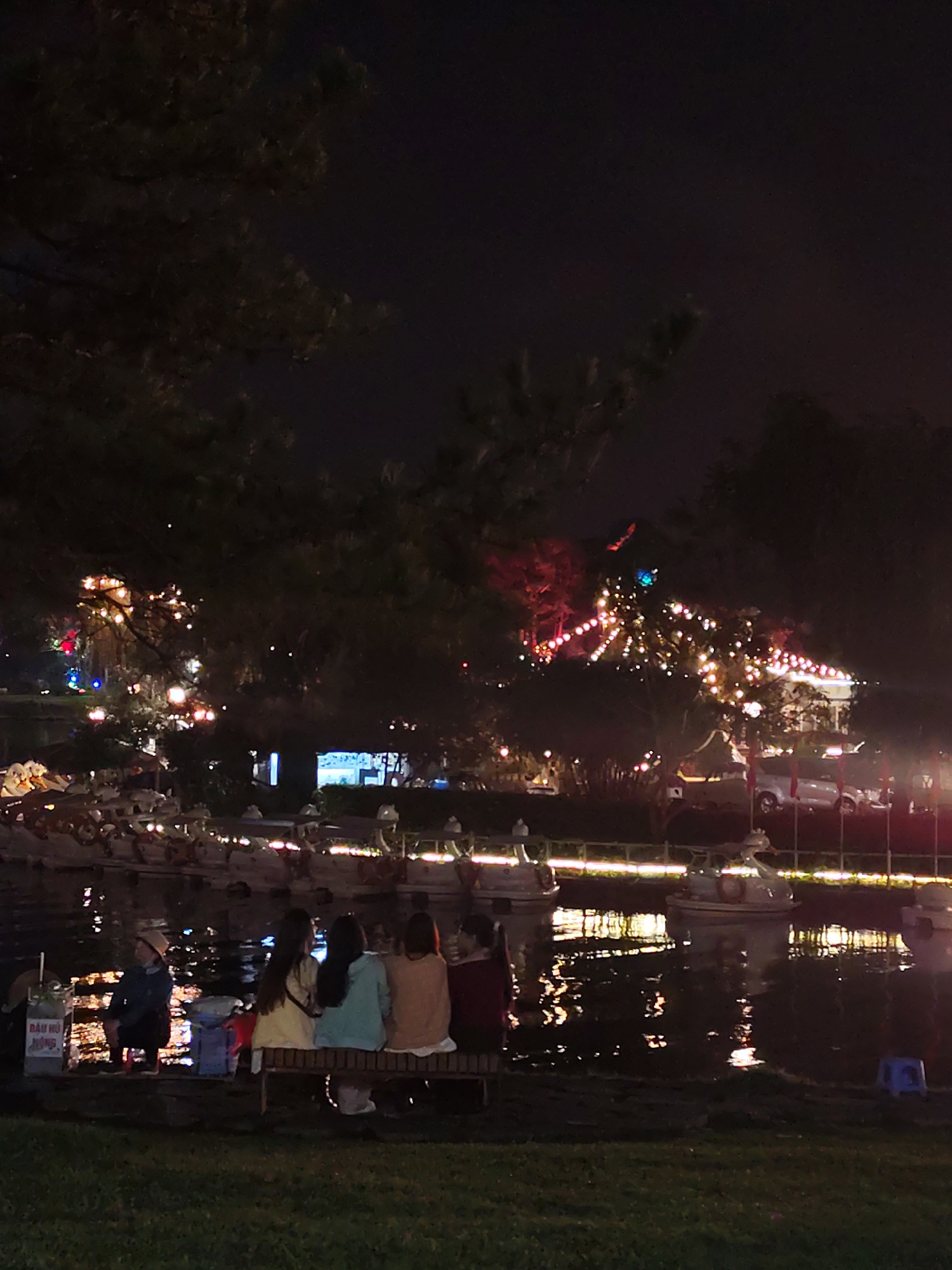 A low-angle shot shows four women sitting on a bench at night along a water's edge, possibly a lake or pond, with the lights of Da Lat, Vietnam, in the background. The women are viewed from behind and are seated next to one another.
To the left of the group is a person standing next to a cart of goods. The water features numerous small, swan-shaped boats or decorative elements illuminated by horizontal lights. Other buildings and structures are visible in the background, illuminated with strings of lights that extend along the roof lines and trees. A vehicle is also visible in the background. The lighting casts a dark glow over the water and the green lawn in the foreground. A small blue stool sits on the ground to the right of the bench. The image is probably taken at night.