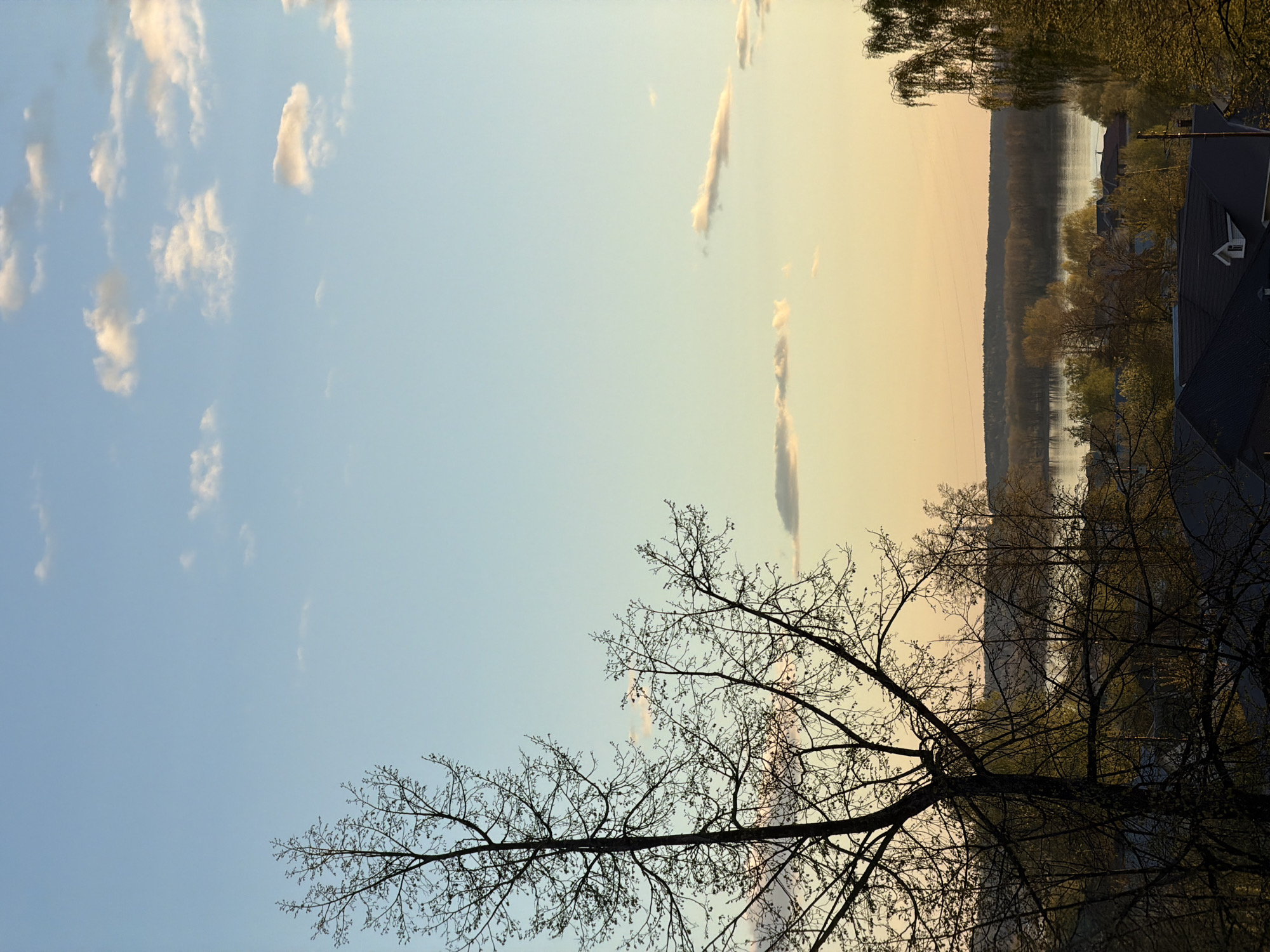 The image depicts a sunset scene in Chaikovsky, Russia. The sky transitions from blue with sparse clouds on the left to a golden hue on the right. A body of water, likely the Kama River, is visible in the distance, with tree-lined banks and a few buildings along the shoreline. In the foreground, silhouetted bare trees dominate the lower portion of the frame. The image is rotated 90 degrees counterclockwise.