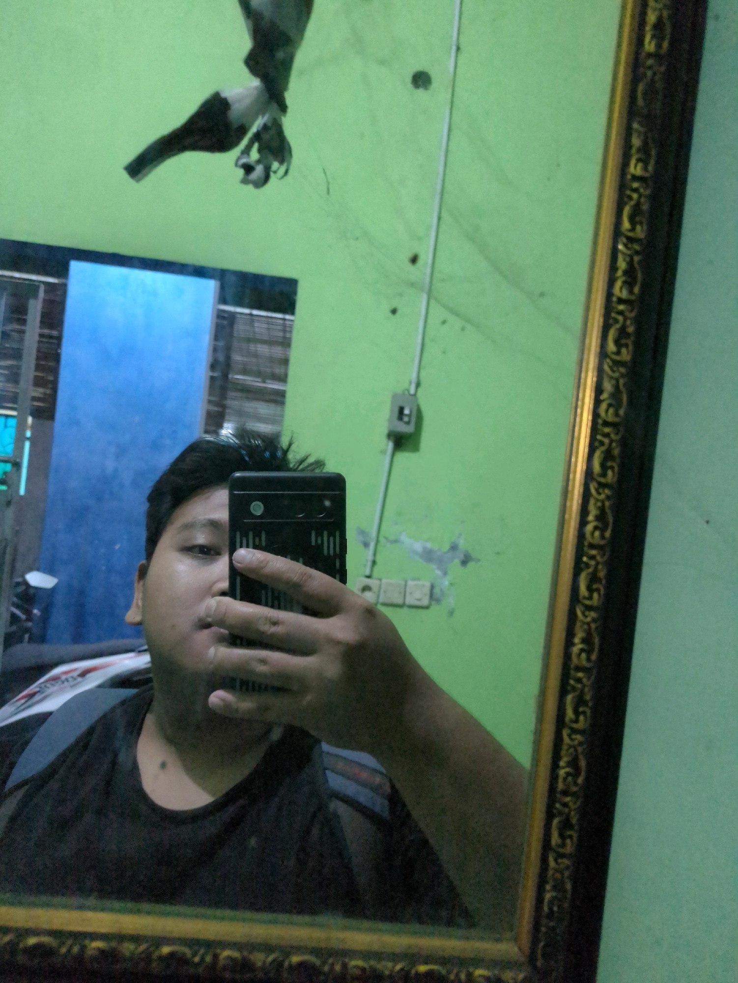 Memory