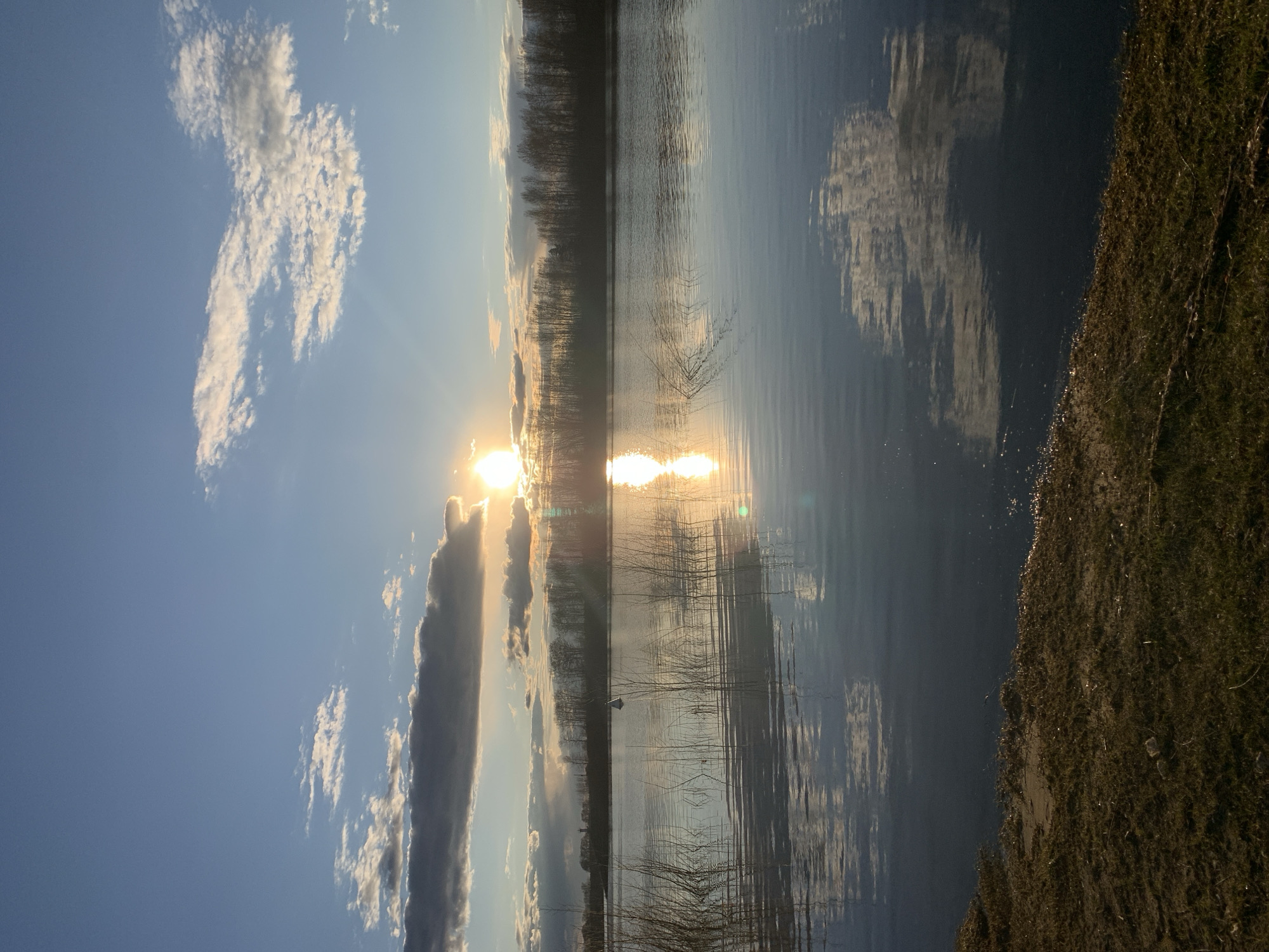 This landscape image captures a tranquil scene at what appears to be either sunrise or sunset over a body of water in Chaikovsky, Russia. The sun is positioned low in the sky, casting a brilliant golden light and creating significant lens flare, indicating the "golden hour."
The sky, occupying the upper portion of the frame, is a clear blue, adorned with scattered white clouds that reflect the warm sunlight. The intense light of the sun creates a radiant glow around it and casts long, shimmering reflections across the water.
A distinct horizon line separates the sky from the water. On the far bank, a dense line of bare trees or bushes forms a dark silhouette against the bright backdrop, suggesting the season is late autumn, winter, or early spring. These trees are also reflected in the calm surface of the water, their dark forms contrasting with the light.
The lower portion of the image is dominated by the reflective water, which mirrors the sky, clouds, and the intense sun. Gentle ripples on the water's surface cause the reflections to appear as elongated streaks of light and shadow. In the foreground, on the right side of the image, a section of a grassy, earthy bank is visible, providing a textural element to the scene. There are no people or discernible activities taking place, and no visible text. The overall impression is one of peaceful natural beauty and serenity.