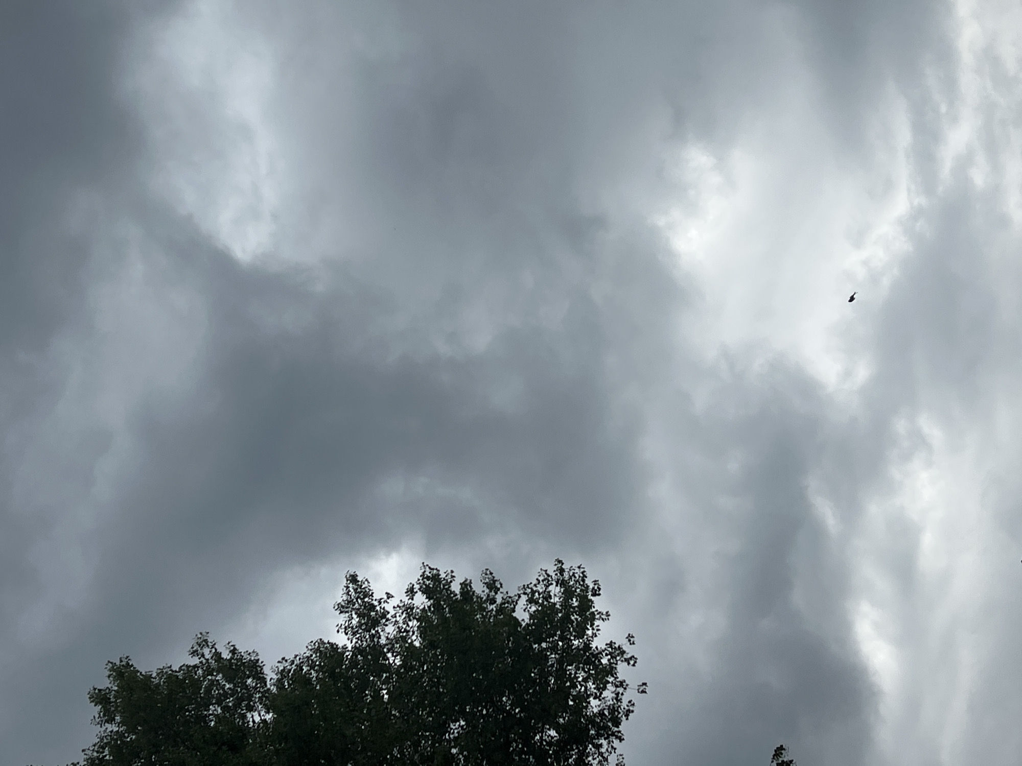 The image is a photograph of a cloudy sky with a tree on the left side. There is a small bird flying in the sky on the right side of the image. The sky is overcast with dark gray clouds. The tree is green and leafy. The image appears to have been taken outdoors, possibly in a park or garden. There are no discernible landmarks or architectural features in the image that would indicate a specific location in Warsaw, Poland.