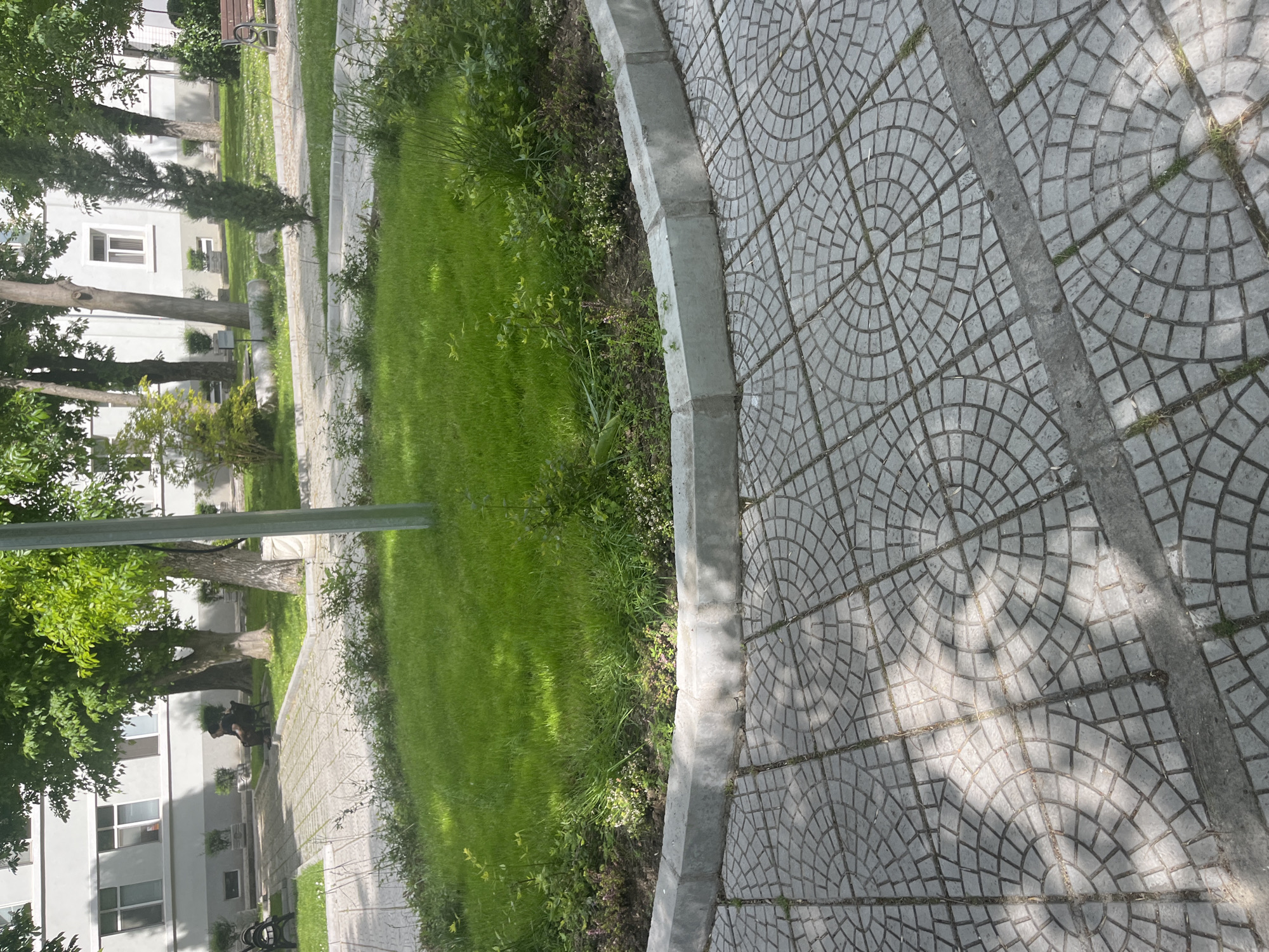 The image shows a section of a park in Plovdiv, Bulgaria. The ground is paved with gray interlocking brickwork in a radial pattern. A concrete curb separates the pavement from a grassy area. The grass is green and interspersed with small plants and some weeds near the curb. In the background, trees and a multi-story building painted white can be seen. There are no people visible in the immediate foreground, but there is a bench in the background. A metal pole extends from the bottom left corner upwards.
