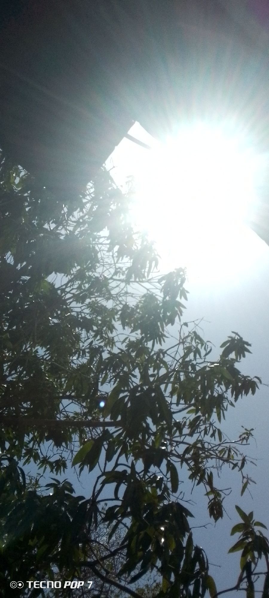 The image depicts a view looking up through the branches and leaves of a tree towards a bright, diffuse light source, presumably the sun. The leaves appear dark against the bright sky. A corner of what might be a building or structure is visible in the upper portion of the image. The picture was taken in the city of Altagracia, Venezuela. There are no people visible. A TECNO POP 7 watermark is present in the bottom left corner of the image.