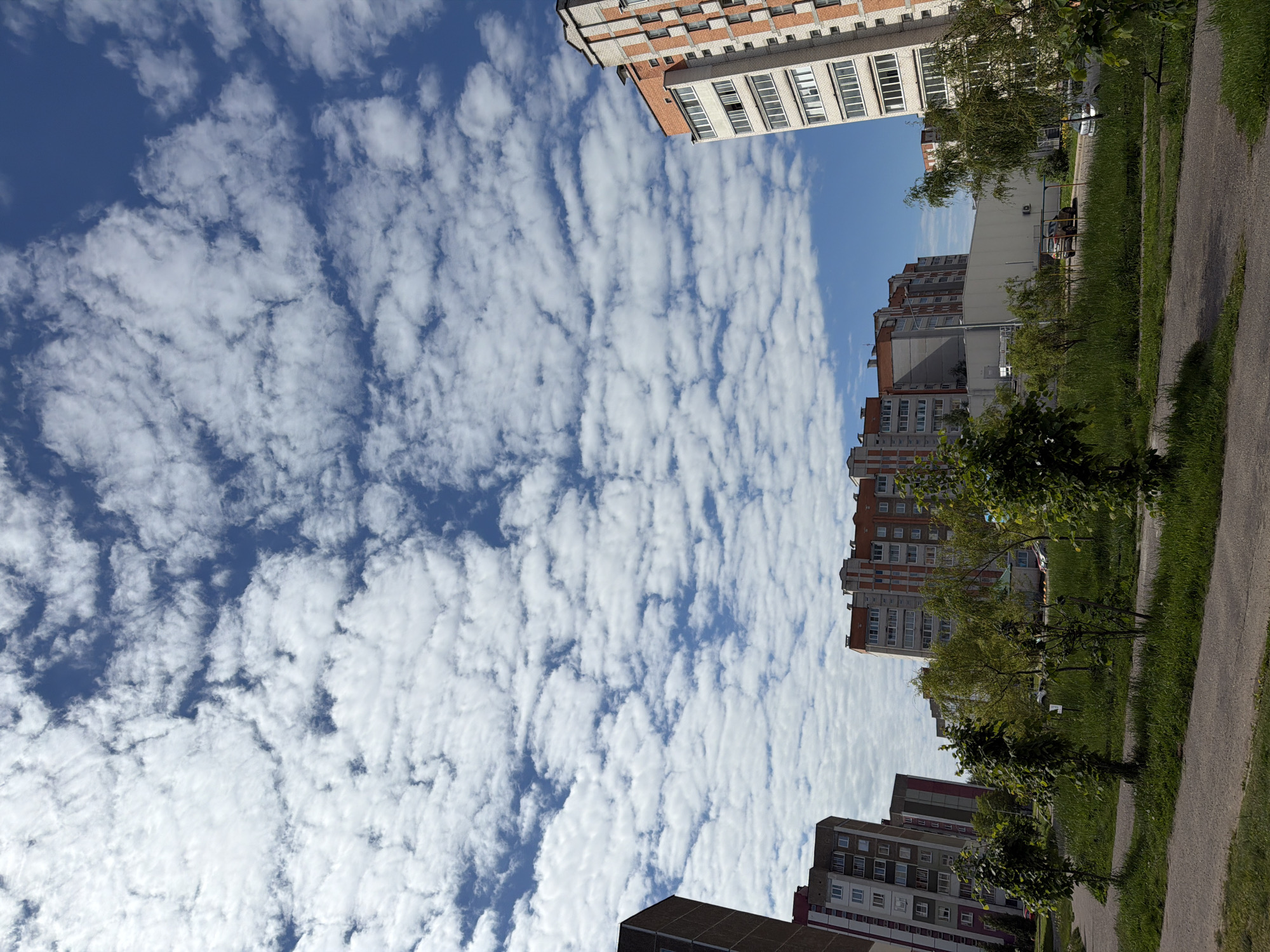 The image captures an outdoor scene dominated by a vibrant sky and surrounded by residential buildings and greenery. The primary subject is a wide expanse of blue sky, which is largely covered by numerous white, textured clouds. These clouds appear to be altocumulus or stratocumulus, forming distinct, somewhat linear patterns that stretch across the sky, suggesting movement or atmospheric currents. The sunlight illuminates the clouds brightly, indicating a clear, sunny day despite the extensive cloud cover.
Framing the sky, multi-story residential buildings are visible on both sides of the image. On the left, a tall building features a distinctive facade of orange-red bricks alternating with white sections, complete with multiple windows and balconies. On the right side, several other apartment buildings, mostly in shades of grey and white, are visible, with numerous windows. In the foreground on the right, a lower building with a flat roof is present.
At the ground level, a grey paved pathway runs from the foreground into the distance, bordered by lush green grass and scattered trees and shrubs. Several young trees with green foliage are interspersed within the grassy areas. A small yellow structure, possibly a piece of playground equipment like a slide or swing, is partially visible among the trees in the mid-ground on the right.
The scene depicts a typical daytime setting in what appears to be an urban or suburban residential area, characterized by apartment blocks, open sky, and green spaces. There is no visible activity or explicit text in the image.