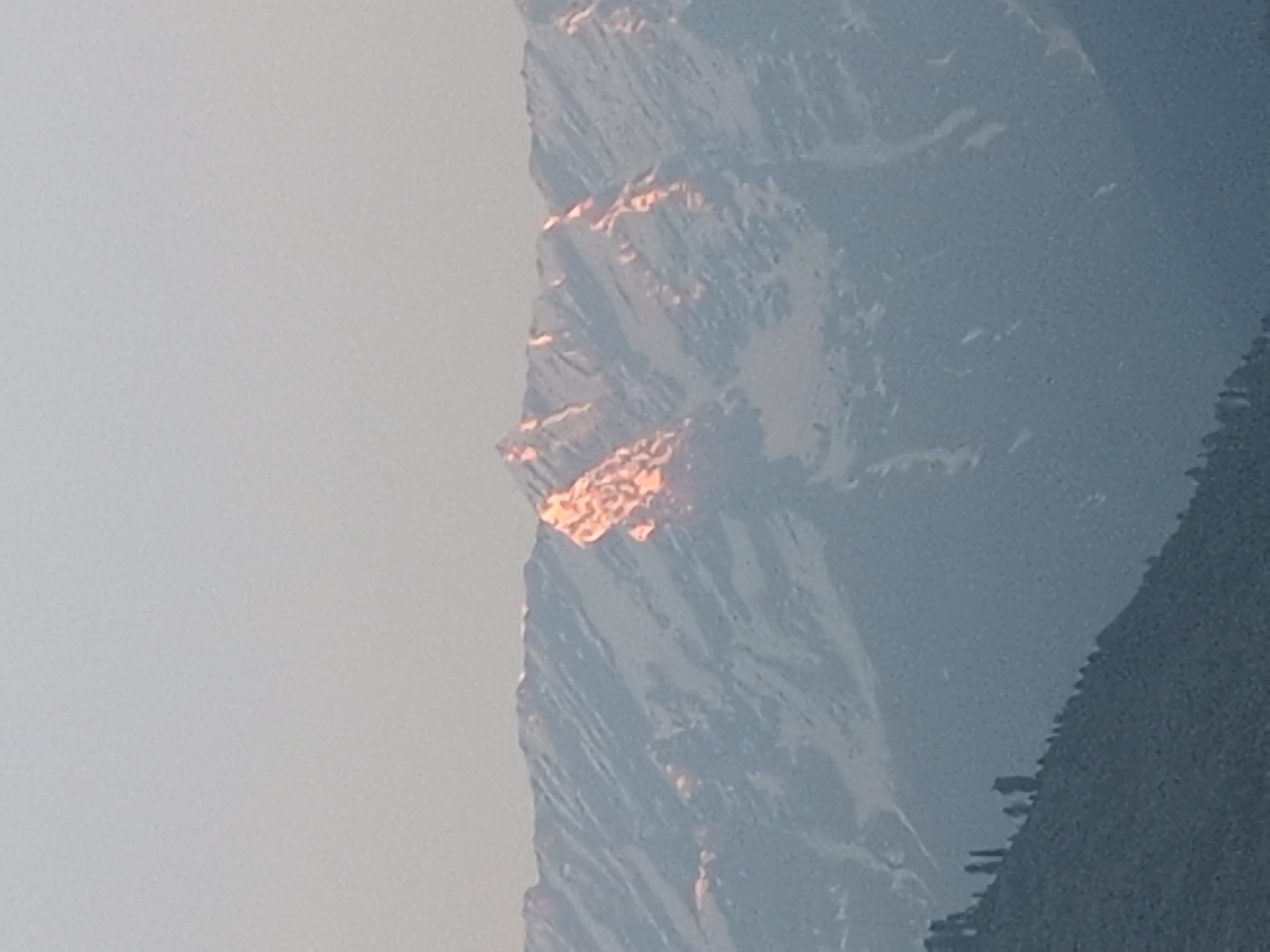 A panoramic view of snow-capped mountains is captured at sunrise. The peaks are illuminated with a warm, rosy glow, contrasting with the cool blue tones of the surrounding landscape. The foreground features a sloping hill densely covered with trees, some of which are tall and slender. The sky above is a pale, hazy blue, suggesting a clear but muted morning. The overall impression is one of natural grandeur and tranquil beauty, indicative of a location in the Himalayan region, such as Vashisht, India, known for its scenic mountain vistas.