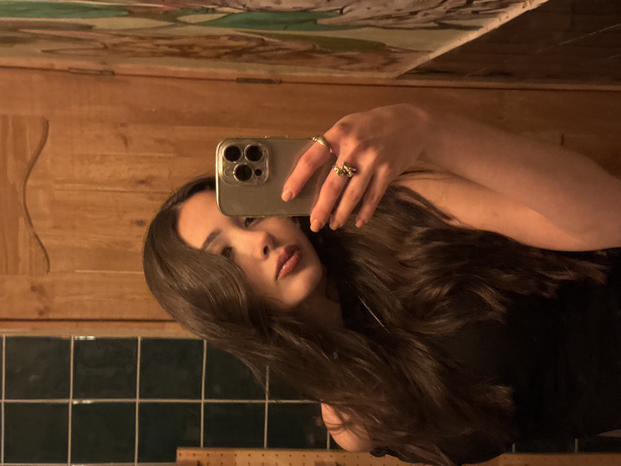 A young woman is taking a selfie in a bathroom mirror. The mirror reflects wood paneling and a painting. The bathroom has green tile. The location is unknown and there is no evidence to support it being in the city of Yerevan, Armenia.