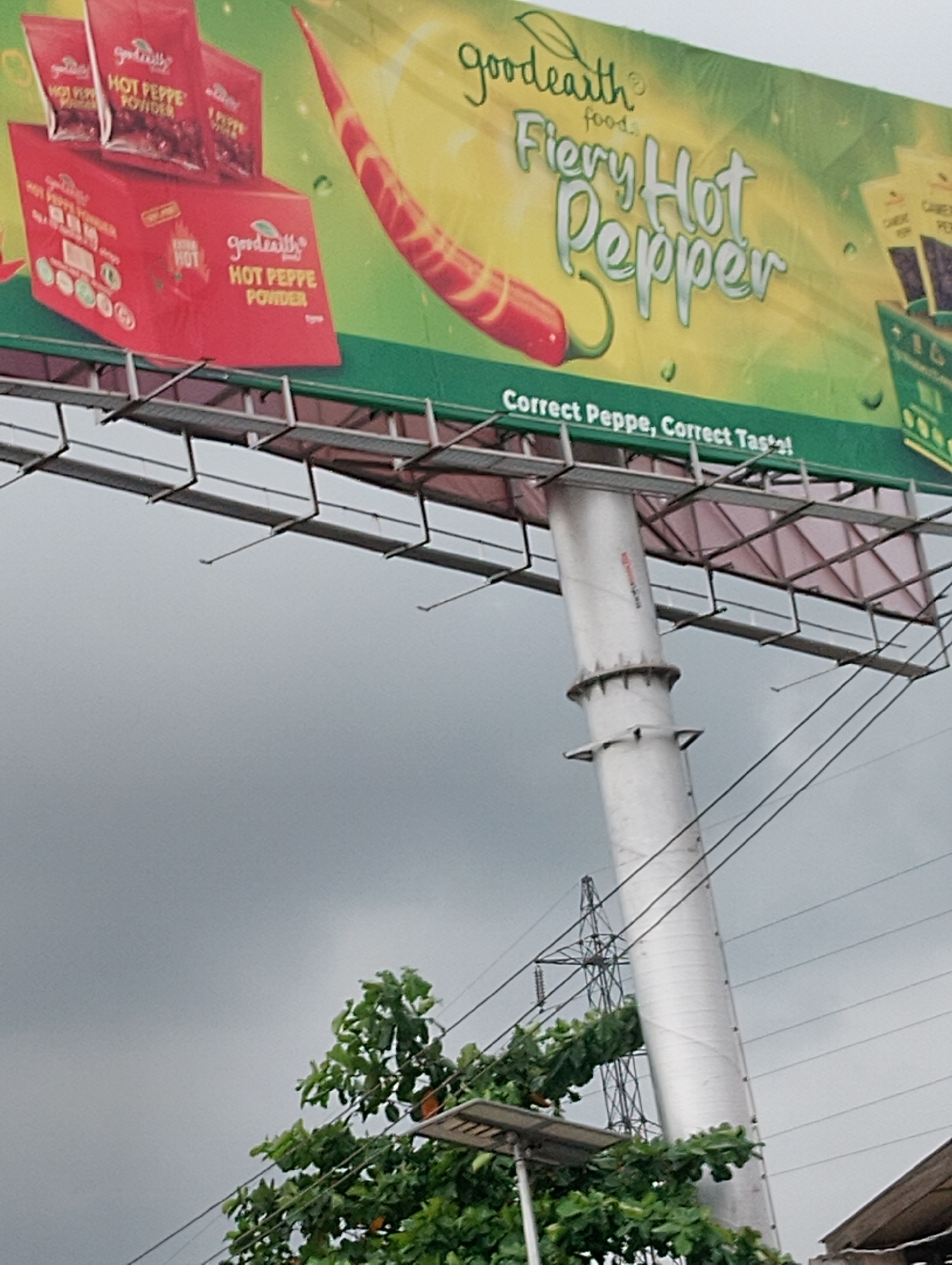 A wide shot shows a billboard for GoodEarth Foods "Fiery Hot Pepper Powder" in Shangisha, Nigeria. The billboard features images of chili peppers and packets of the product. In the foreground, a large, white support pole for the billboard is visible, along with power lines and trees. The sky is overcast.
