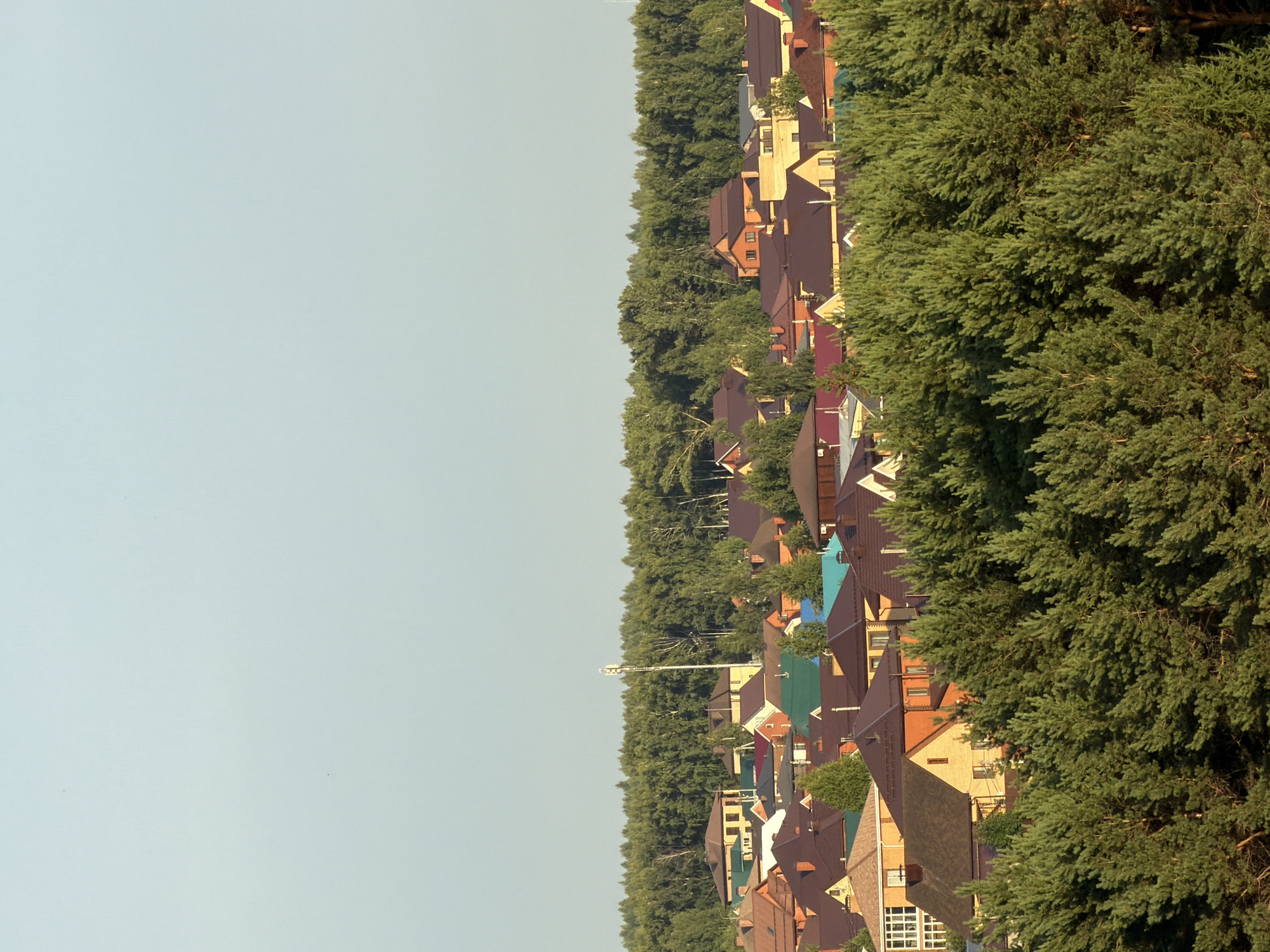 The image shows a row of houses with colorful roofs, nestled among dense green trees. The houses are of various sizes and architectural styles, with some featuring multiple stories and prominent windows. The scene appears to be a residential area, possibly a suburban or rural village. The trees are lush and full, indicating a warm season, likely summer or late spring. The lighting suggests it is daytime, with the sun casting shadows and highlighting the textures of the foliage and rooftops. The sky is a pale, clear blue, hinting at fair weather. The perspective is an elevated, oblique view, looking down and across the rooftops and tree canopy. The composition is dominated by the vibrant greenery of the trees and the varied hues of the house roofs, creating a picturesque and somewhat chaotic yet harmonious scene. No people are visible, and there is no visible text in the image. The overall impression is one of a peaceful, established community surrounded by nature.