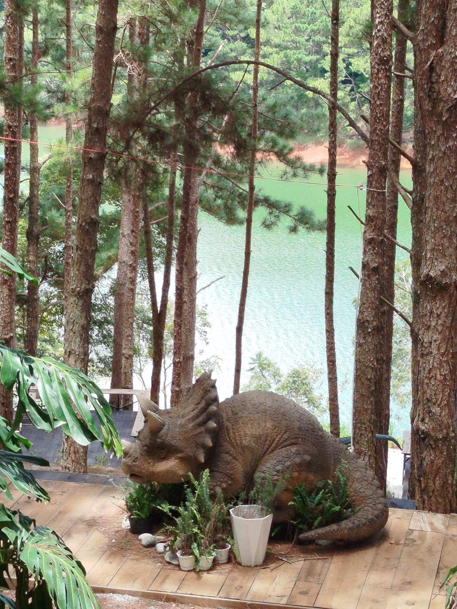 The image depicts a large, realistic dinosaur statue, specifically a Triceratops, resting on a wooden platform amidst a pine forest. The dinosaur is positioned in the foreground, surrounded by potted plants and natural debris. Behind the platform, a tranquil green lake is visible, bordered by more pine trees and distant foliage. The overall setting suggests an outdoor attraction or park, likely designed to resemble a prehistoric environment. The image does not contain any people or specific landmarks to pinpoint a precise location within Da Lat, Vietnam, beyond the general context of its natural landscape.