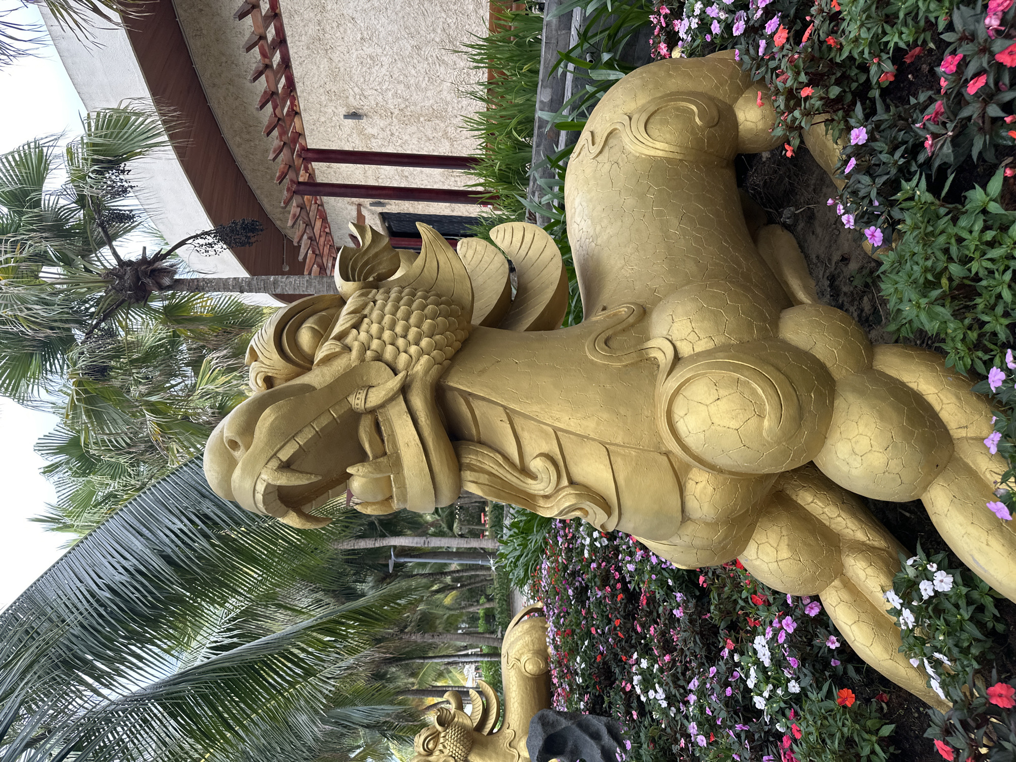 This image depicts two large, golden statues of mythical, dragon-like creatures in a tropical garden setting, specified as Nha Trang Ward, Vietnam.
In the foreground and central right, the primary statue is a reclining golden creature with a stylized dragon head, featuring an open mouth with prominent fangs. Its body displays a texture resembling scales or cracked earth, and it has a flowing mane and muscular legs. A second, similar golden statue is positioned to the left and slightly behind the first, also in a reclining pose amidst the foliage.
Both statues are situated within densely planted flowerbeds. These beds contain numerous small flowering plants exhibiting a variety of colors including white, various shades of pink, purple, and red-orange, interspersed with green foliage. Dark, irregularly shaped rock features are visible near the rear statue.
The background is dominated by numerous tall palm trees with lush green fronds, some displaying clusters of dark fruits. Behind the statues and trees on the right, a building is visible. It features a light-colored, textured facade and a curved roof line with exposed wooden soffit details. A wooden pergola structure with dark red-brown vertical posts extends from the building. No individuals are present in the scene. The overall lighting suggests daylight.