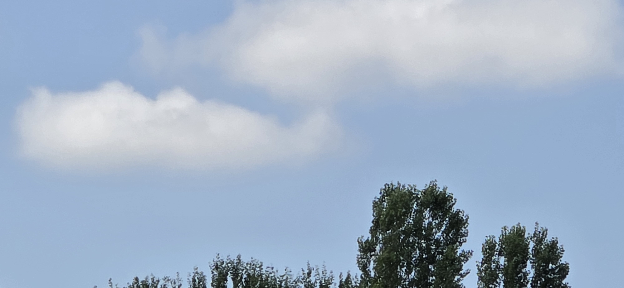 The image shows a clear blue sky with scattered white clouds. In the lower part of the frame, the tops of several tall, leafy green trees are visible, suggesting an outdoor environment. The scene is serene and depicts a typical daytime sky with natural elements. The location is identified as Tel, Azerbaijan. There are no people or specific human activities depicted in this image.