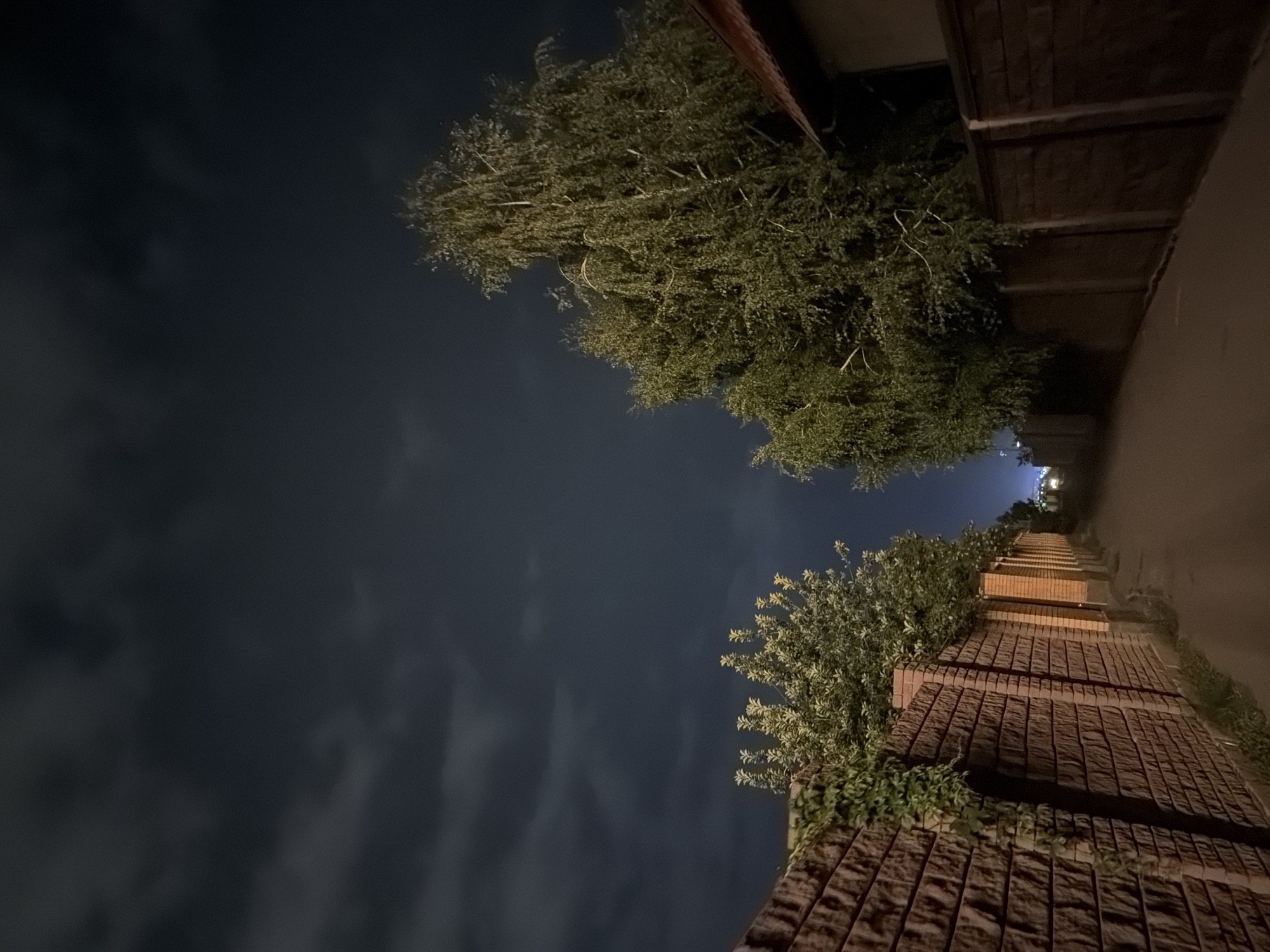 The image depicts a narrow paved pathway flanked by brick fences on both sides under a dark, cloudy night sky. On the left, a textured brown brick fence runs along the pathway, with some green ivy growing on its surface. Beyond the fence, a dense cluster of green trees with illuminated leaves is visible. On the right, another fence, also appearing to be made of brick or concrete blocks, borders the pathway. A large, leafy tree with light-colored bark and cascading branches dominates the right side of the image, partially obscuring a building with a reddish-brown roof. In the distance, faint lights suggest the presence of a city or settlement. The overall scene is dimly lit, characteristic of nighttime conditions, with no people or discernible actions taking place. The environment appears to be a residential or suburban area within the city of Pavlodar, Kazakhstan, possibly a private alleyway or service road between properties.