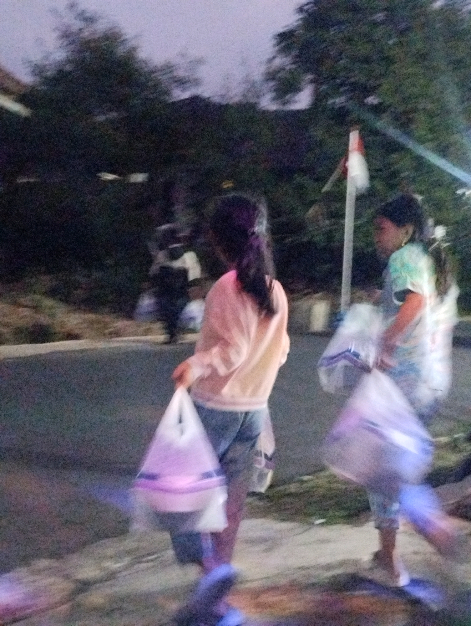 In Petungsewu, Indonesia, two young females are captured in a motion-blurred image walking on a paved road at dusk. The female in the foreground, on the left, wears a light pink long-sleeved shirt and blue denim shorts, carrying a white plastic bag in her right hand. The second female, on the right, is dressed in a green and white tie-dye shirt and blue shorts, also carrying a similar white plastic bag. They are walking away from the viewer. In the background, blurred trees and a pole with an Indonesian flag are visible, along with other indistinct figures. The environment suggests an outdoor setting, possibly a residential area, with vegetation lining the road and a hint of artificial lighting. The overall impression is one of a casual evening walk, possibly after shopping, given the bags.