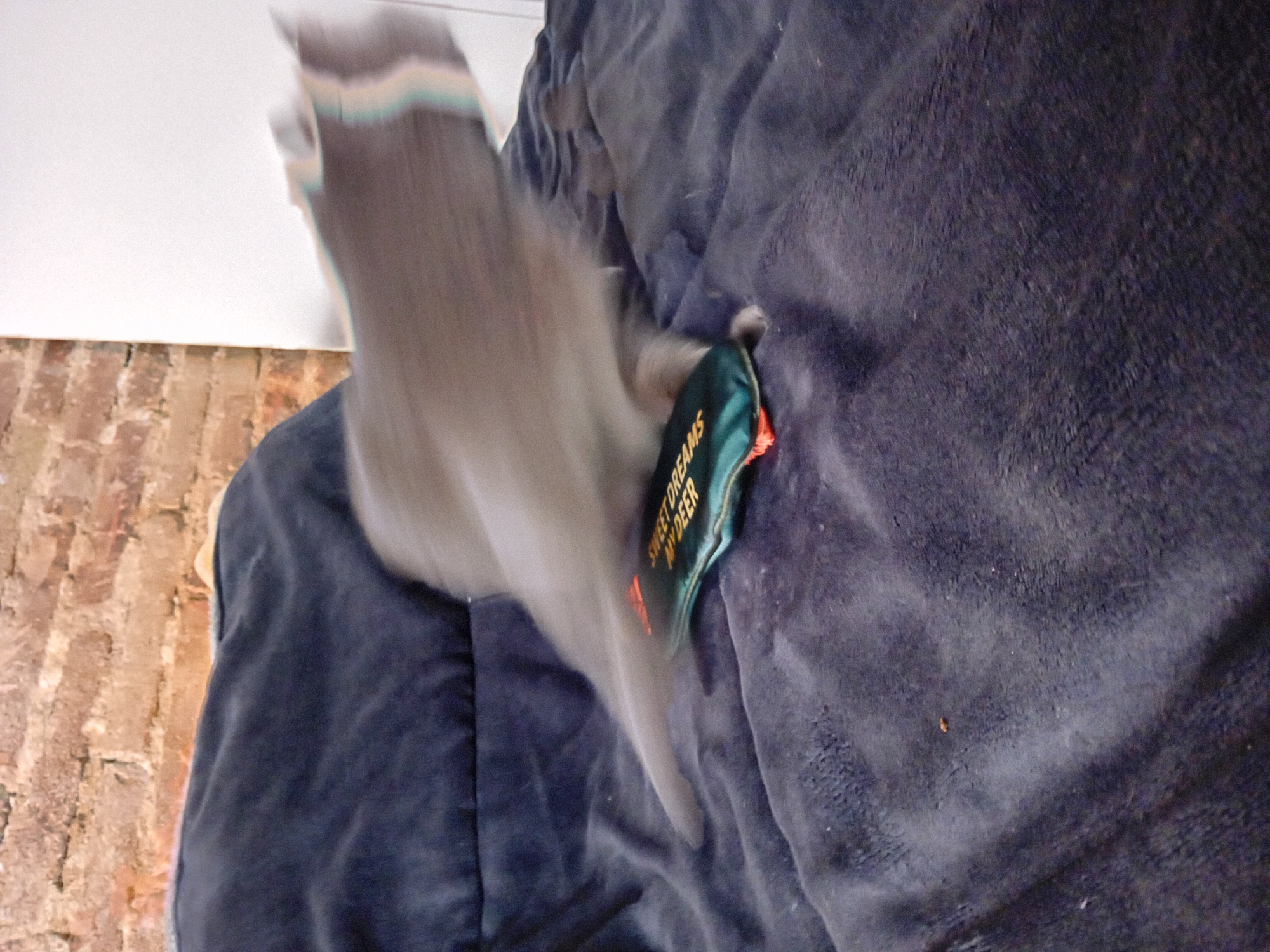 The image depicts a dynamic indoor scene, likely in Barcelona, Spain, centered on a motion-blurred grey creature, possibly a cat, engaged in play. The creature is captured in mid-movement, creating significant blur that obscures specific features but conveys rapid action. It interacts with a small, green, tag-like object resting on a dark blue, plush blanket. The visible text on the green object reads "SWEET DREAMS MY DEER" in yellow lettering.
The background features a white wall meeting a section of exposed red-brown brickwork, suggesting an interior space with a rustic or industrial architectural element. The dark blue blanket occupies a large part of the frame, showcasing its soft, textured surface. The lighting appears to be natural daylight, indicating the photo was taken during the day. The overall impression is one of a candid, playful moment within a domestic setting.