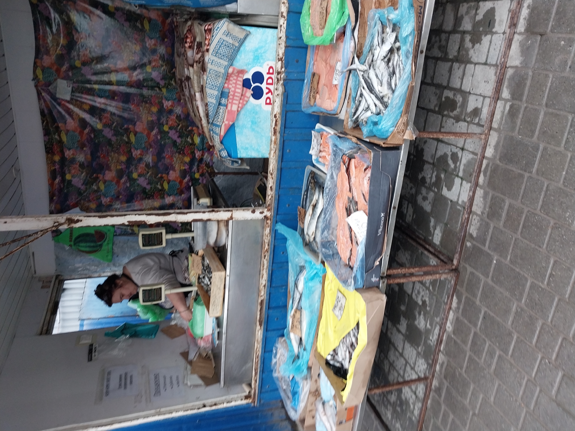 A woman is standing behind a stall selling fish in the city of Dnipro, Ukraine. The stall is made of metal and wood, and it is covered with a blue tarp. There are several boxes of fish on display, including salmon and other types of fish. The woman is wearing a gray shirt and an apron. She is looking down at the fish. The ground in front of the stall is paved with brick.