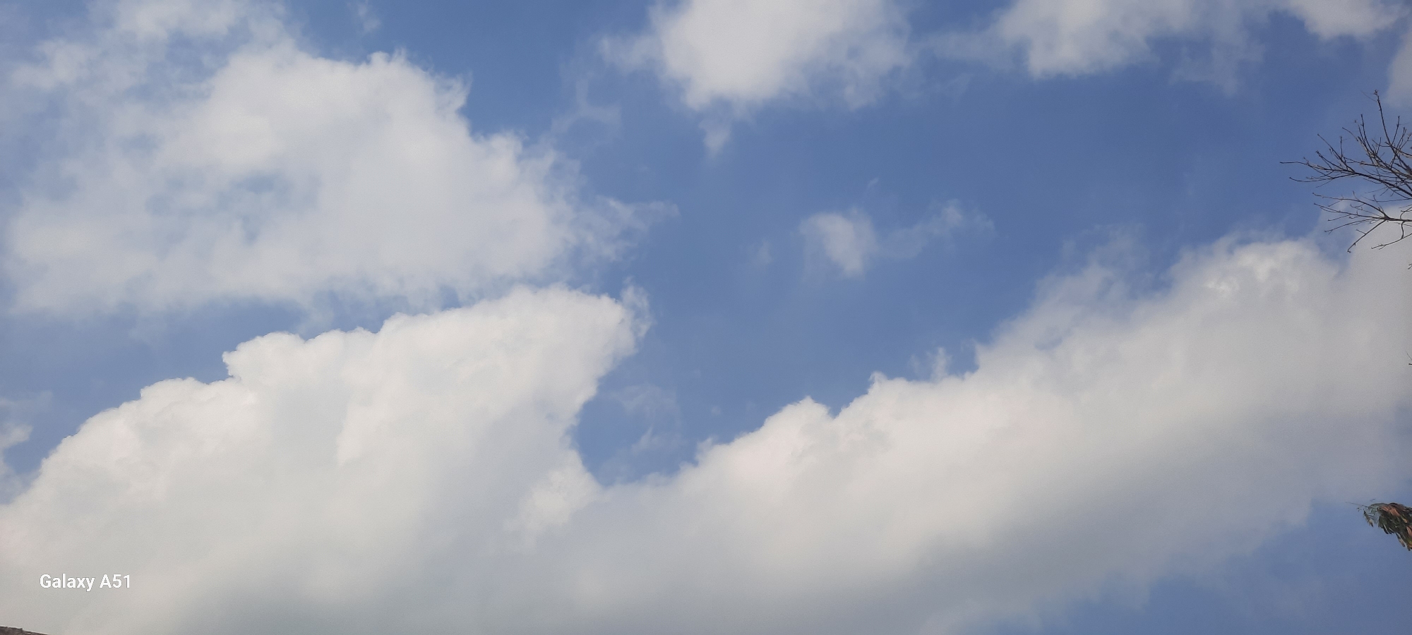 A clear blue sky is dotted with fluffy white clouds. The bottom left corner of the image shows the text "Galaxy A51" in white. In the upper right corner, a bare tree branch extends into the frame. The scene is a bright, sunny day, likely outdoors. There are no people or specific identifiable landmarks present that would suggest a location within Ploso, Indonesia.