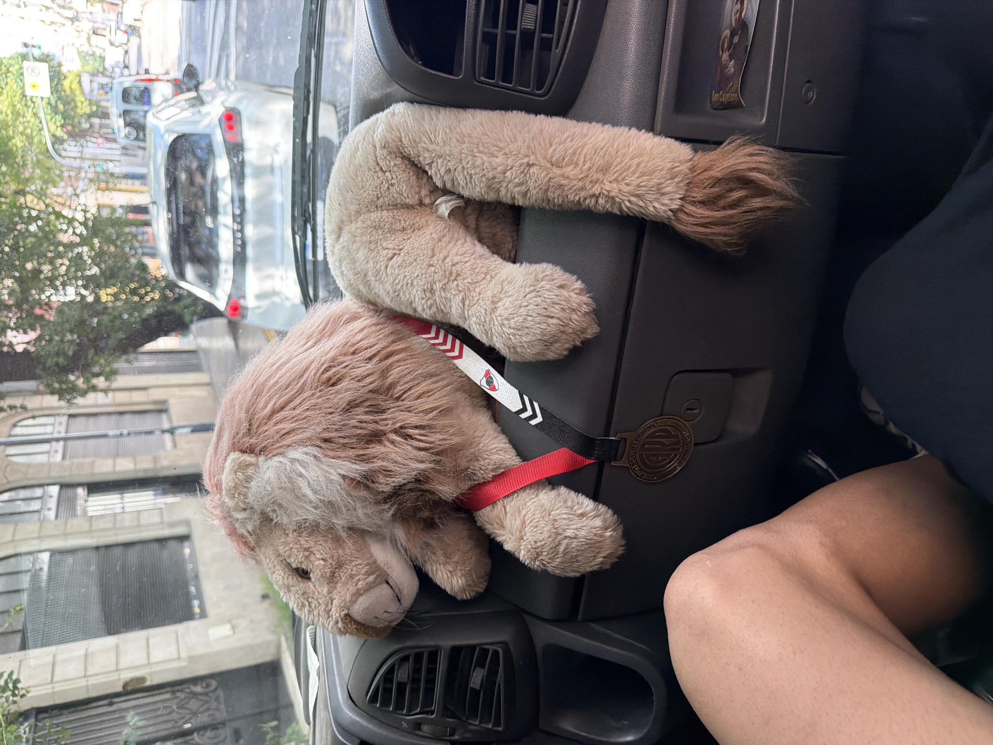 A plush lion toy with a red and black ribbon around its neck rests on the dashboard of a vehicle. The vehicle interior is grey, with air vents visible above and below the toy. Through the windshield, a street scene of Buenos Aires, Argentina is visible with buildings, parked vehicles, and trees. A street sign with a yellow circle can be seen through the windshield. A religious icon is placed near the passenger side dashboard. A person's knee is visible on the passenger seat.