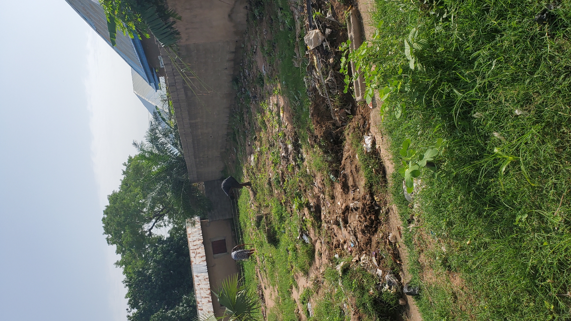 The image depicts an outdoor scene in Jalingo, Nigeria, characterized by a somewhat unkempt environment. Two individuals are visible in the mid-ground, both appearing to be engaged in manual labor. One person, wearing a dark garment, is bent over and seemingly digging or clearing the ground. The other individual, dressed in lighter patterned clothing, is also stooped, possibly assisting or performing a similar task. The ground is a mixture of soil and patchy grass, with scattered debris including plastic bags and other refuse visible throughout. In the background, a building with a corrugated metal roof stands to the left, and a wall made of concrete blocks extends across the mid-to-far background. Beyond the wall, parts of other buildings with sloped roofs, one with blue trim, are visible, along with lush green trees and palm fronds. The sky above is clear and bright blue with a few wispy clouds. The overall impression is of an area undergoing work or cleanup, with elements of both natural vegetation and man-made structures.
