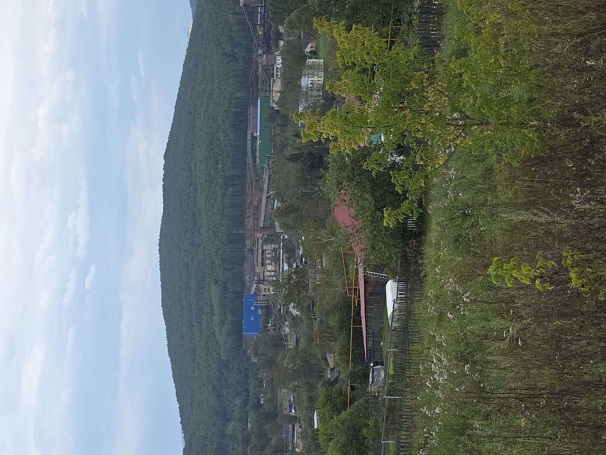 The image shows a panoramic view of a town nestled at the base of a densely forested mountain. In the foreground, a rustic wooden fence encloses an overgrown field with wild flowers and tall grasses. Beyond the field, several residential buildings with red and brown roofs are visible, along with a greenhouse and a ladder leaning against a structure.
Further into the background, industrial buildings are scattered amidst trees and smaller houses. One prominent industrial structure is a large, bright blue building with a complex roofline. Next to it, a tall brick smokestack rises into the overcast sky. Other industrial facilities, characterized by their weathered brick and metal components, are spread across the mid-ground. The mountain itself is covered in a thick expanse of dark green trees, creating a natural backdrop for the semi-urban and industrial landscape. The sky is filled with a layer of soft, gray clouds, suggesting a possibly cool or damp day. The overall impression is one of a working town situated in a region with significant natural resources and industrial activity.