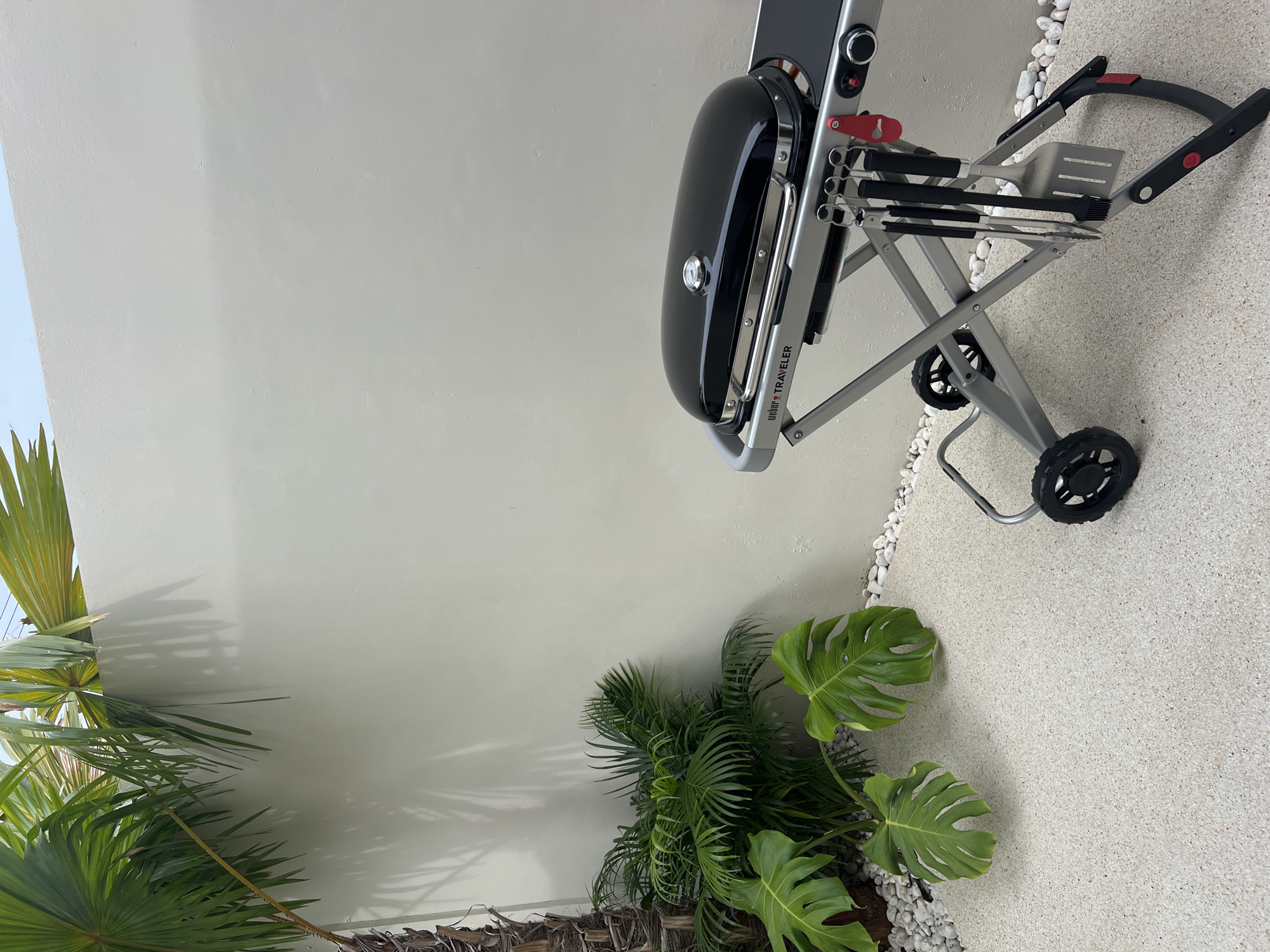 The image captures a backyard scene with a portable grill as the focal point. The grill, a Weber Traveler model, is black with silver accents and features a foldable stand with wheels and attached grilling tools.
The background is a bright, off-white wall. A green palm tree and a monstera plant are located near the bottom left corner. The ground is made of white pebbles with a sandy-colored material in between.
The image does not reveal the location in terms of city or state.