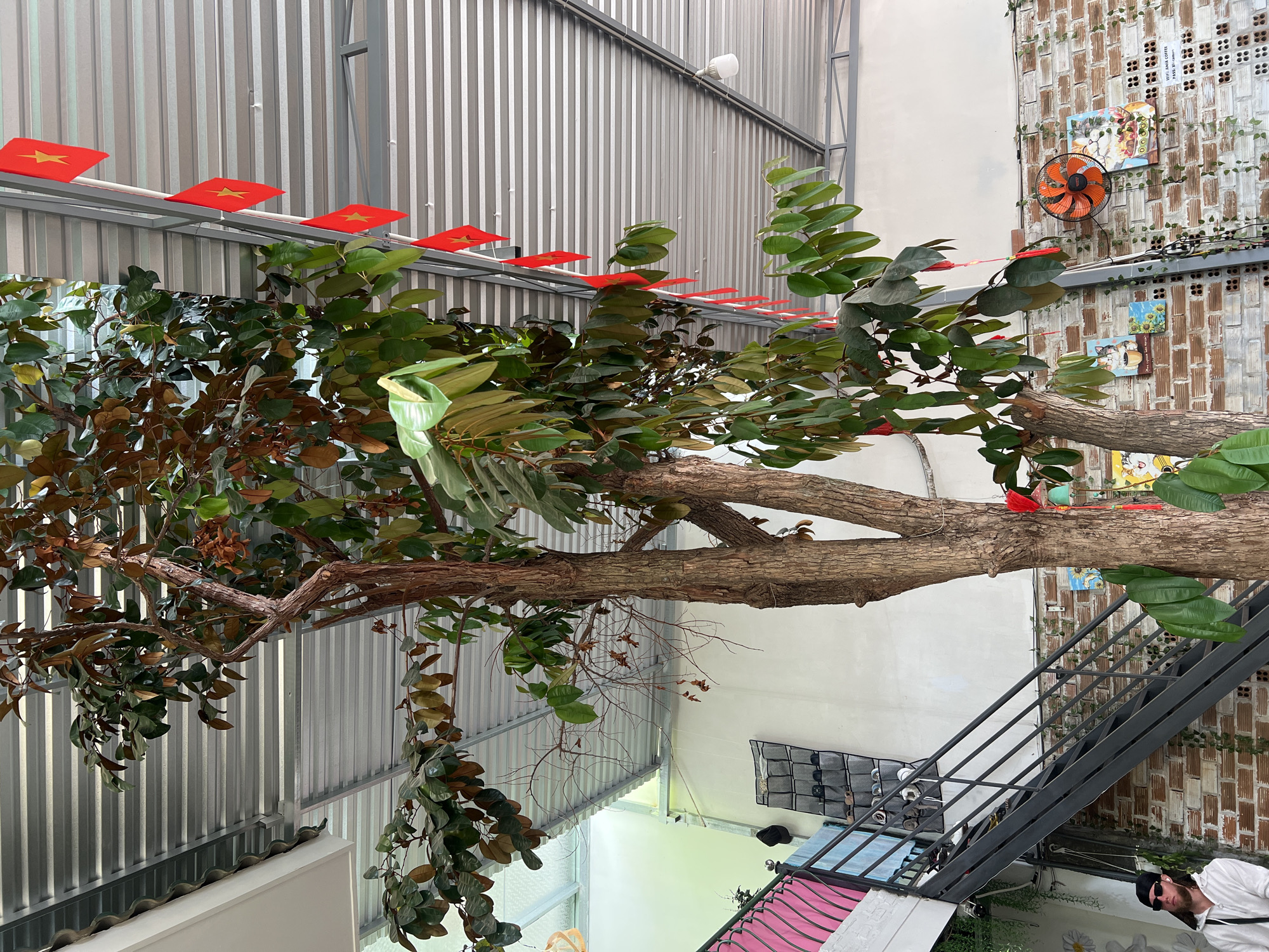 The image depicts an indoor scene in Bac Nha Trang Ward, Vietnam. A large tree branch extends across the frame, with green leaves and some brown leaves. A string of small red Vietnamese flags hangs above the tree. In the background, there is a metal corrugated wall and a brick wall with an orange fan and pictures hanging on it. A black metal staircase leads upwards along the brick wall. Below the staircase, there is a shoe rack and a person wearing a white shirt and sunglasses.