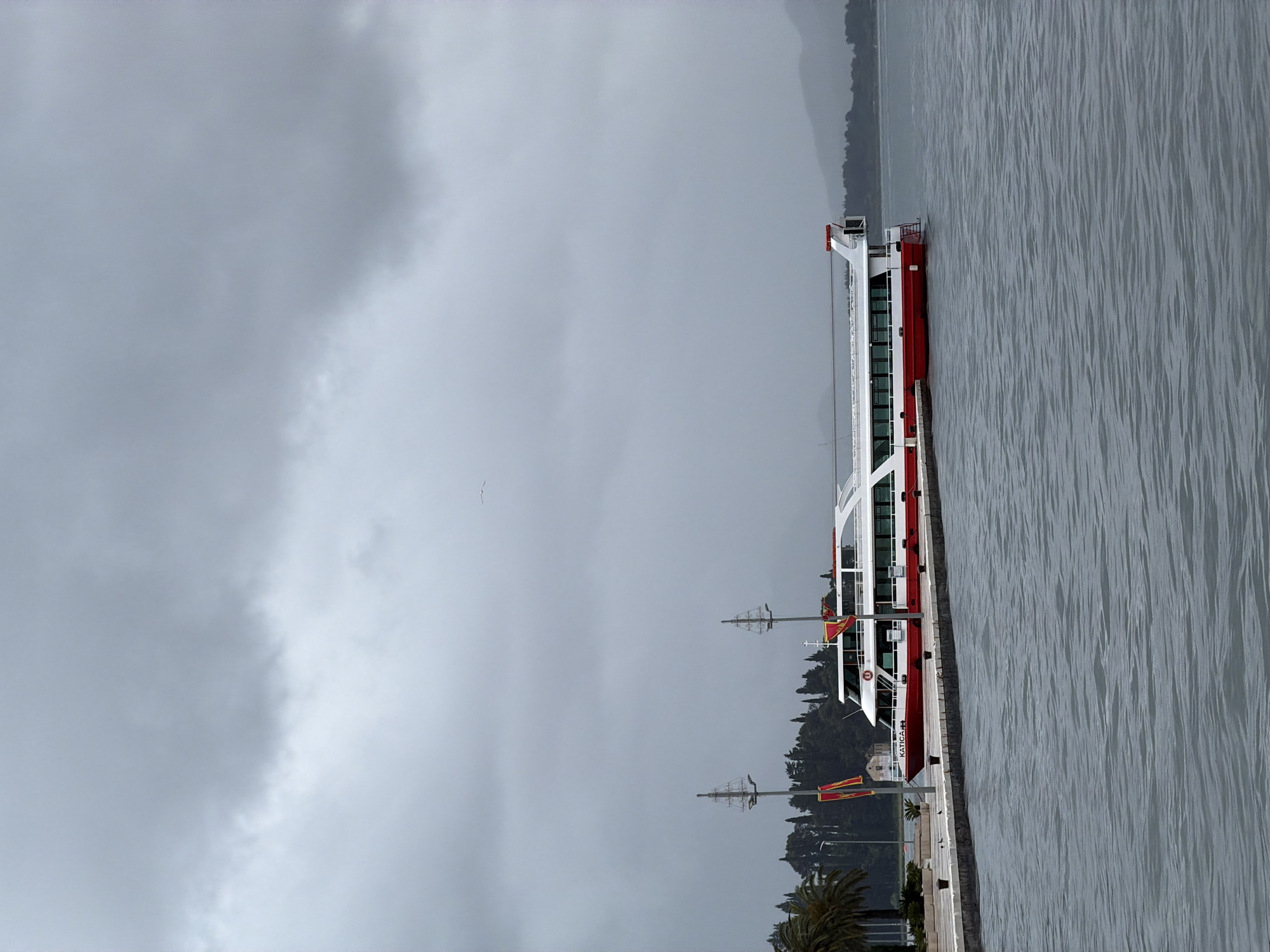 The image depicts a long, modern ferryboat docked at a pier in Tivat, Montenegro. The boat is primarily white with red accents, and its design includes multiple levels with large windows. The pier runs along the right side of the image, with gray water visible beyond it.
On the landward side of the pier, there is a row of trees and some lampposts with decorative flags. The sky is overcast, lending a subdued and gray atmosphere to the scene. In the distance across the water, a hazy treeline suggests the presence of a mountainous terrain.