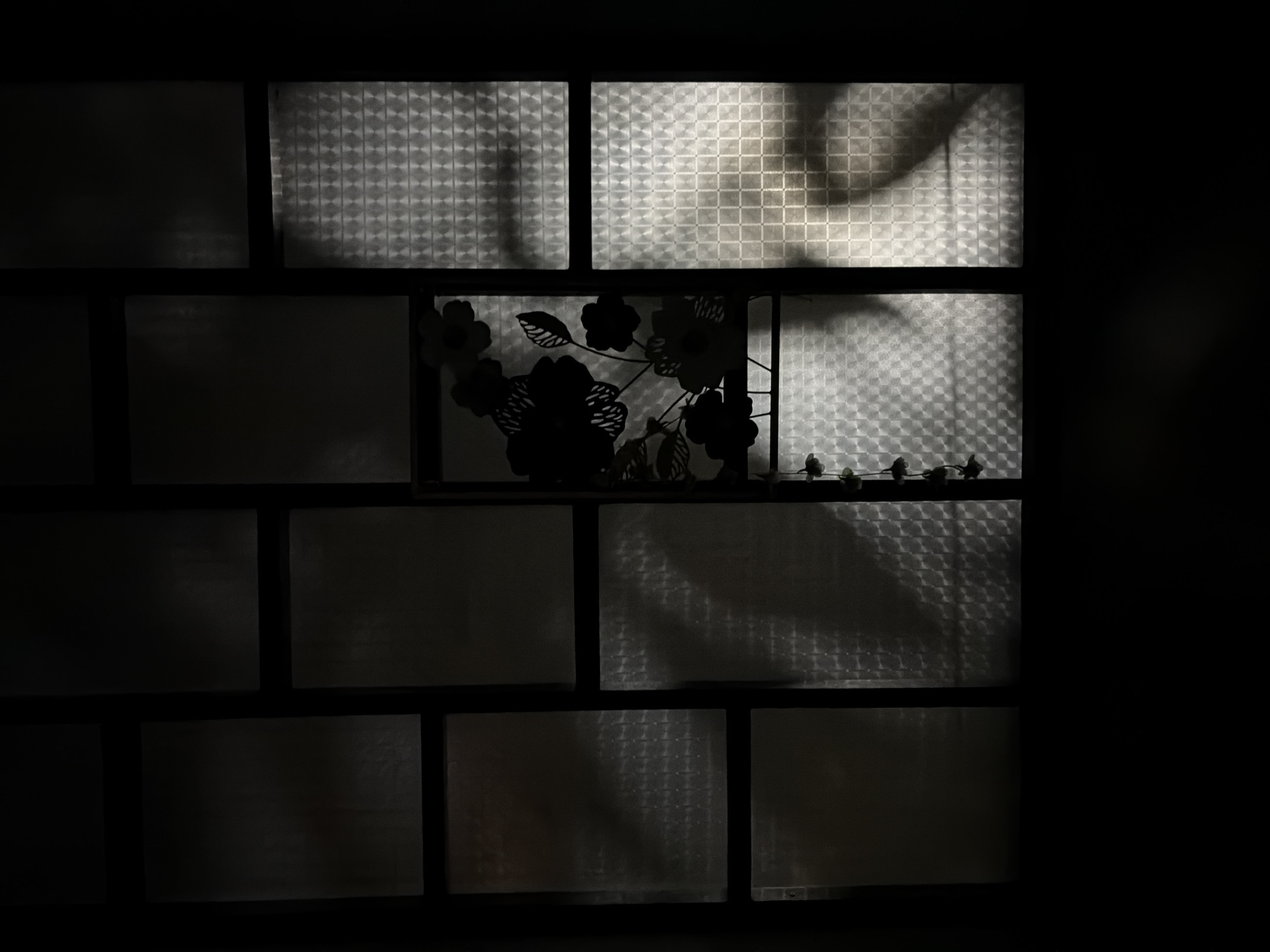 The image shows a dimly lit window with a grid of panes. Some panes are opaque, while others are translucent with a checkered pattern. Silhouettes of flowers and leaves are visible on one of the panes. Shadows are cast across some of the panes, suggesting light sources outside the window. The overall scene is dark and somewhat mysterious, evoking a sense of quiet solitude. The location in Kuta Selatan, Indonesia, suggests a tropical setting, though this is not explicitly evident from the image itself.