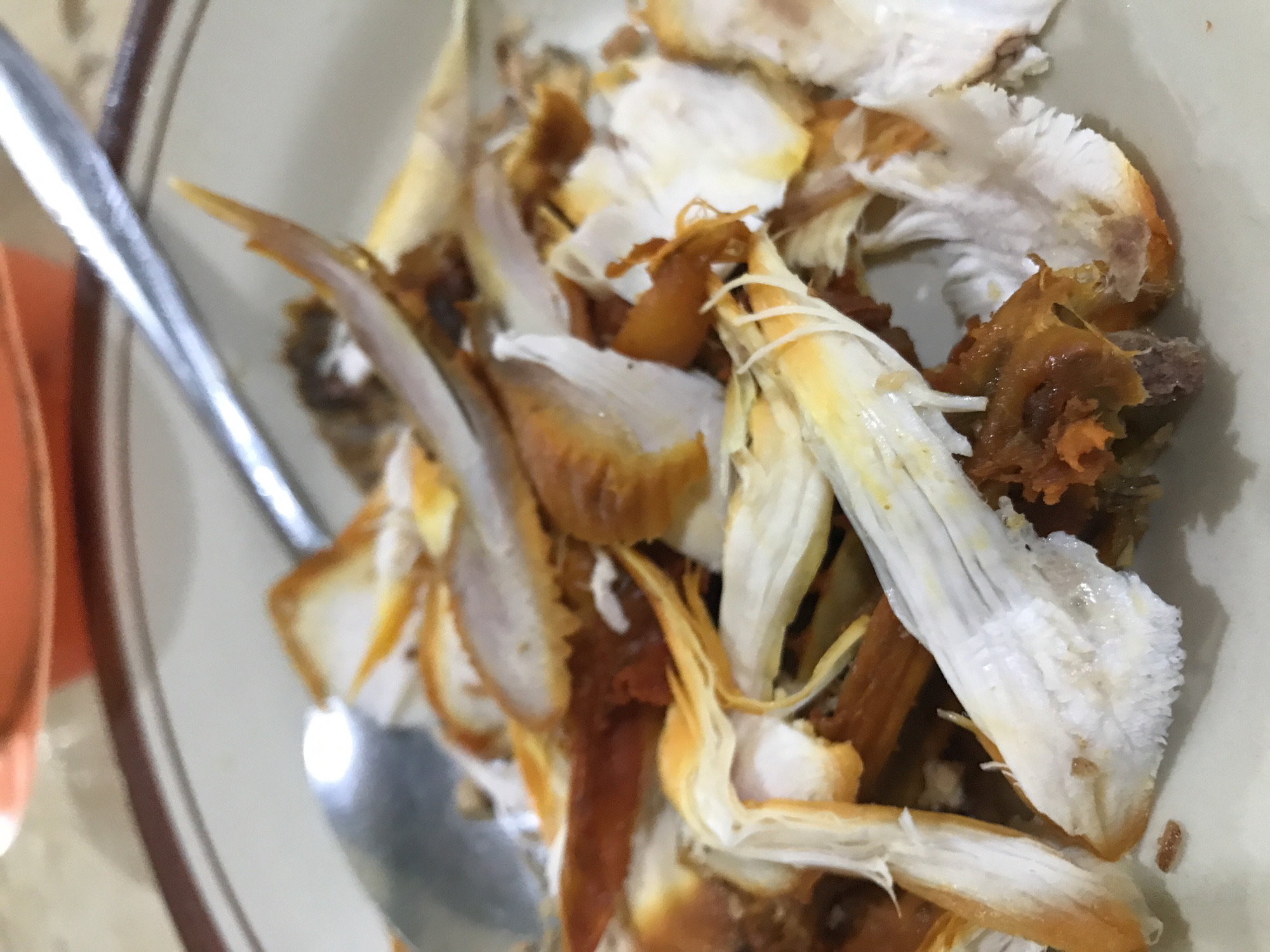 A close-up shot depicts a plate of shredded cooked chicken, likely leftovers. The chicken pieces vary in color from white to golden brown. Some darker, possibly crispier, portions are also visible. A silver spoon rests on the edge of the plate, partially obscured by the chicken. The plate itself has a beige or light gray surface with a dark brown rim. There are no people visible in the frame. The location is presumed to be Tingkeummanyang, Indonesia.