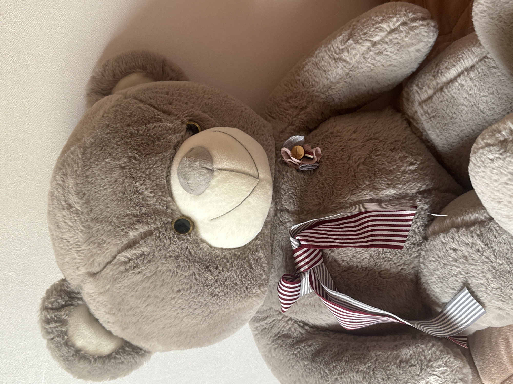 A medium shot captures a close-up of a large, plush, gray teddy bear sitting upright against a lightly textured, pale pink wall. The bear faces forward, its head slightly tilted to the right. It has round, dark button eyes with subtle gold accents, a lighter gray nose, and a stitched, smiling mouth. A light gray muzzle is a prominent feature. Around its neck, the bear wears a striped ribbon bow with alternating colors of dark red and white, and thinner stripes of gray and white. A small, decorative fabric flower with a button center is attached to the bear's chest, to the right of the bow. The bear's fur is soft and slightly shaggy. The lighting suggests a well-lit indoor environment. There is no information available to determine the location in the city of Miass, Russia.