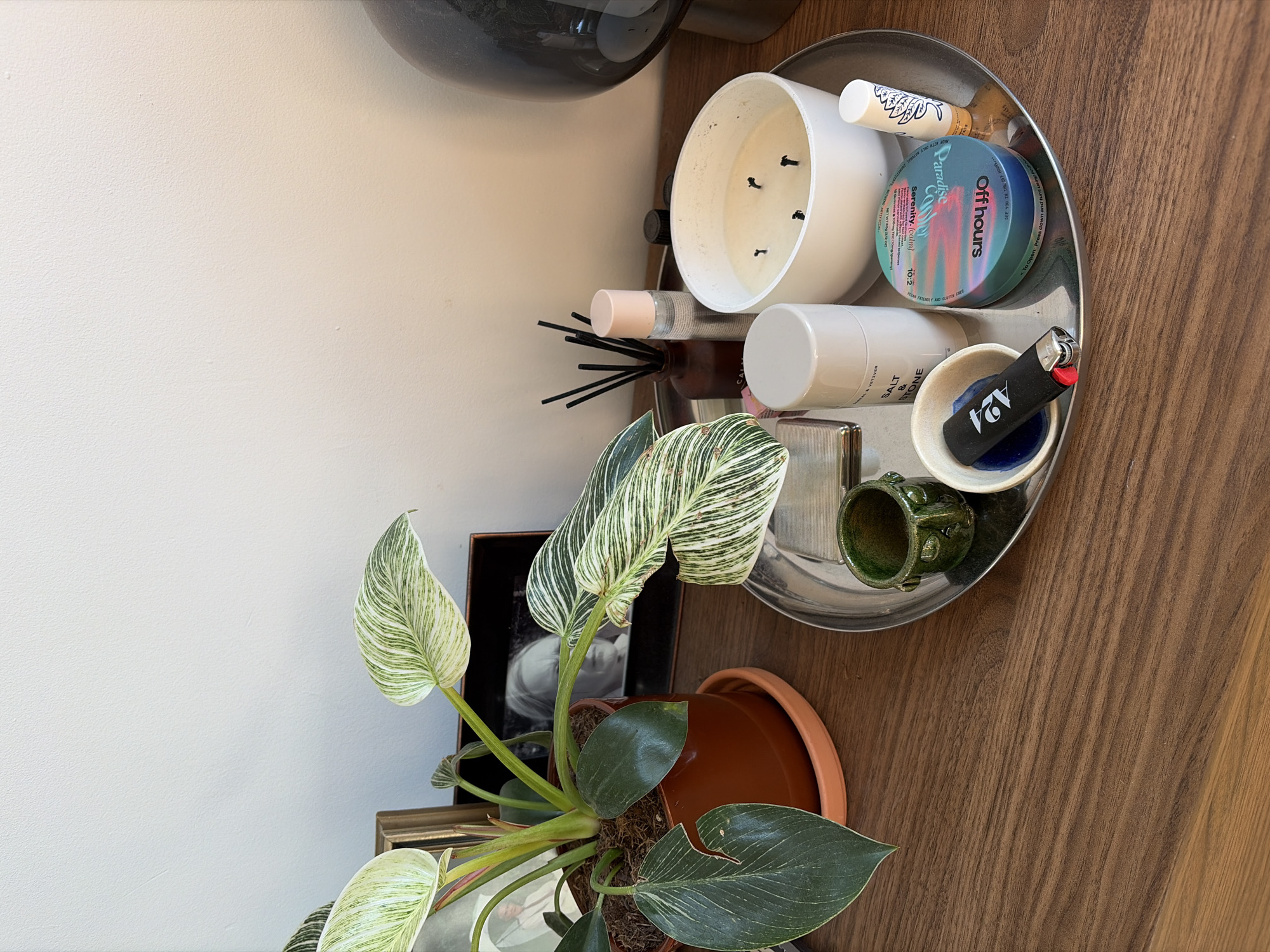 The image displays a close-up, eye-level view of a collection of personal items arranged on a polished wooden surface, likely a dresser or table, against a plain white wall. The scene is an interior space; however, no specific visual cues are present to determine its location within New York, United States of America.
To the left, a potted Philodendron Birkin plant with distinctive green and white variegated leaves is housed in a terracotta-colored pot and matching saucer. Behind the plant, a dark brown photo frame with a metallic gold edge contains a black and white photograph of a woman's head and shoulders.
Dominating the center-right of the frame is a circular silver-colored tray holding multiple objects. These include: a small, dark green ceramic cup with a stylized human face; a small, off-white ceramic bowl containing a black lighter with "A24" printed in white and a red base; a white cylindrical container labeled "SALT & STONE" above text that includes "BAKIR & VETIVER"; a large, shallow white ceramic bowl containing a white, unlit candle with five black wicks; a dark brown glass bottle with five black diffuser reeds; a light pink cylindrical bottle; a round teal and pink tin labeled "off hours" and "Serenity.calm"; and a white cylindrical stick, possibly lip balm, with a blue floral design.
To the far right, partially visible, is a dark, spherical object with a metallic base, potentially a lamp or decorative sphere. The wooden surface exhibits a visible grain pattern. No individuals are present, and no active events or interactions are depicted.