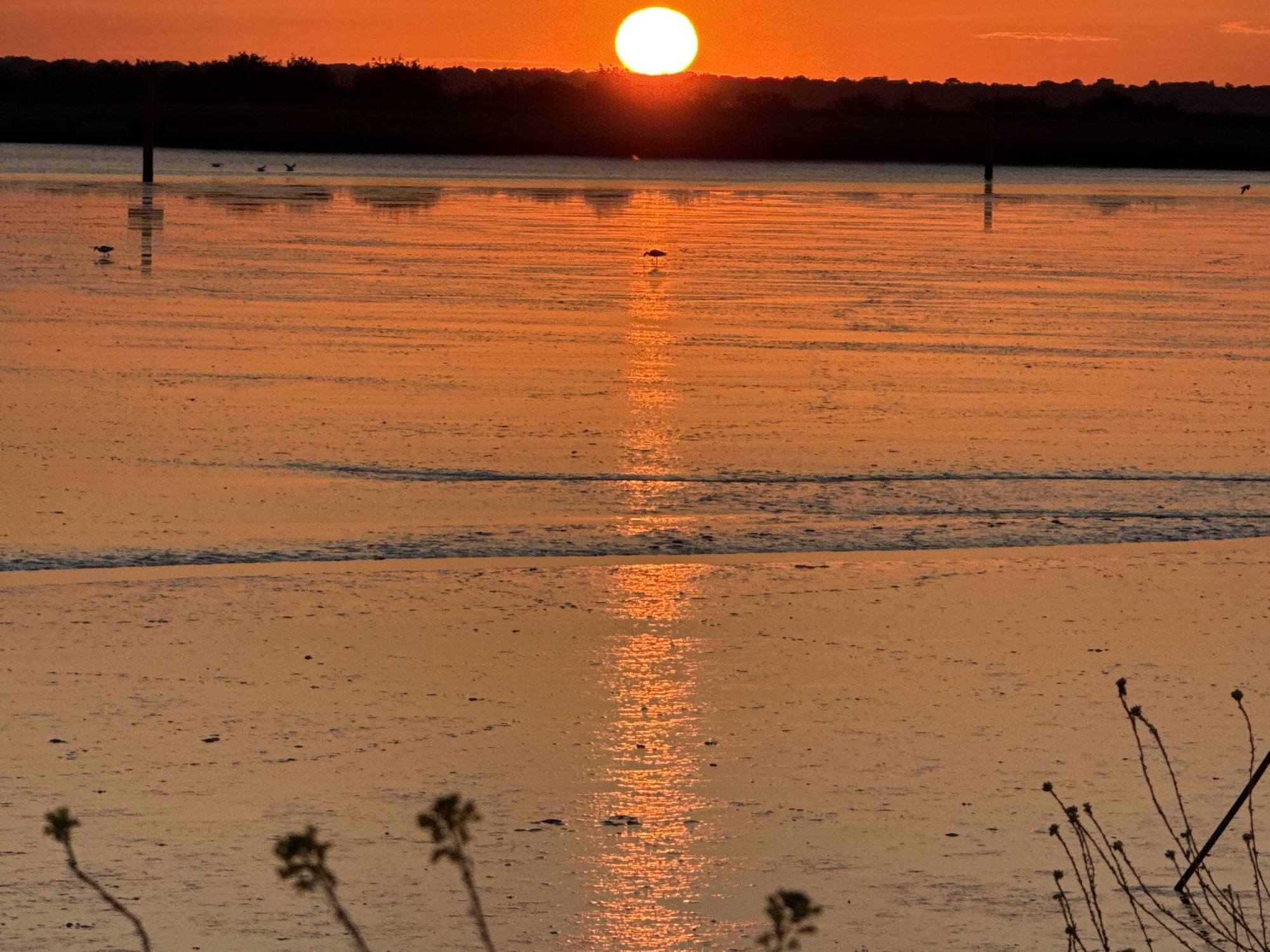 The image depicts a sunset over Breydon Water, near Great Yarmouth, United Kingdom. The sun, a bright orb, is partially obscured by the horizon. The water reflects the sun's light in a vertical band down the center of the frame. Several navigational markers are visible in the water. A few birds are present, some wading in the shallow water, and others are flying above. The foreground features silhouettes of plants.