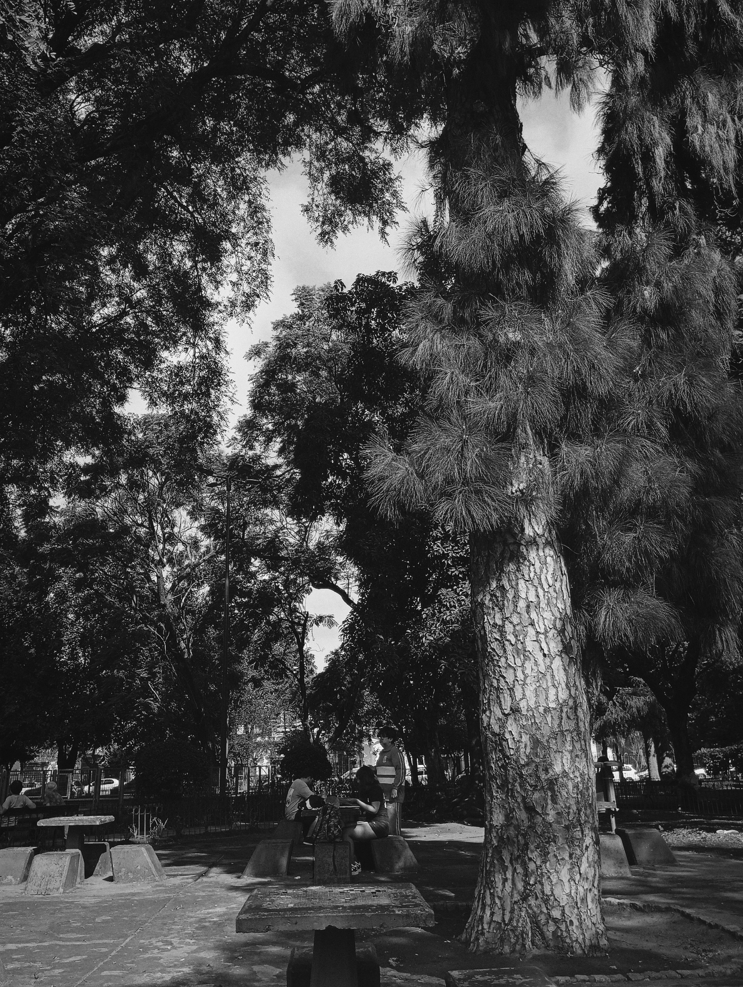 The black and white image depicts a park scene with trees and people. Three people are seated at concrete tables in the foreground. One person is standing behind the table. Dense foliage fills the frame overhead. The photo was taken in Buenos Aires, Argentina.