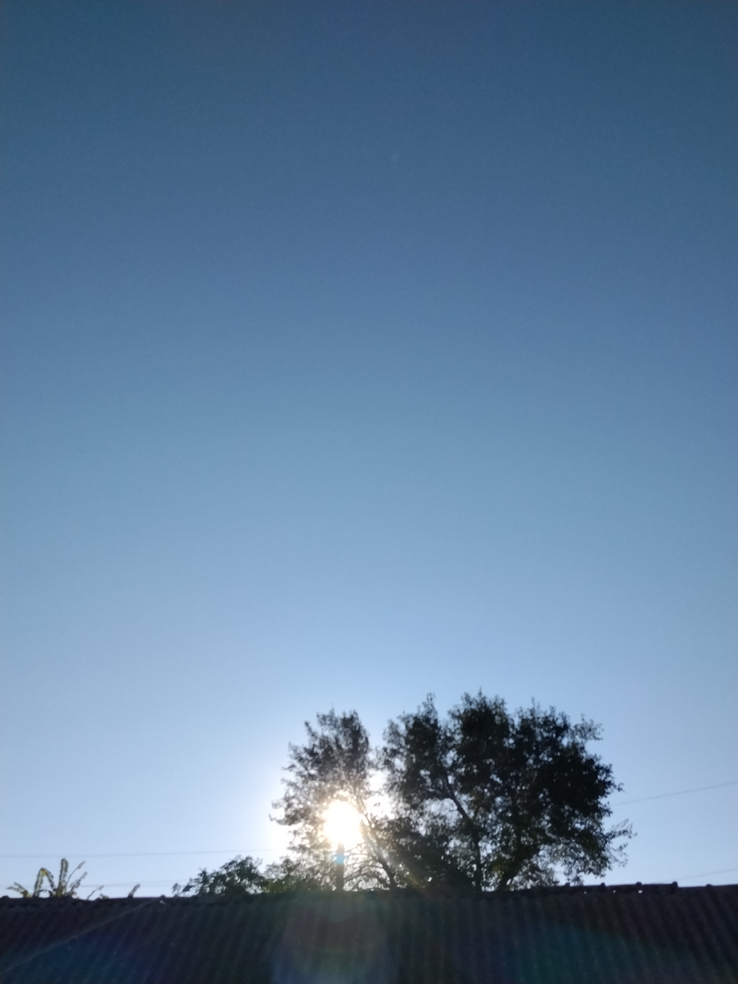 This image captures a tranquil scene in Ustyvytsia, Ukraine, likely taken outdoors during daylight hours. The sky is a clear, vibrant blue, dominating the upper portion of the frame. In the lower part of the image, a dark-tiled roof runs horizontally across the bottom, suggesting the presence of a building. Peeking above the roofline are the silhouettes of trees. The sun is partially obscured by the foliage of these trees, creating a bright lens flare that radiates outwards, illuminating the branches and leaves. This effect suggests that the sun is low in the sky, possibly during sunrise or sunset. The overall atmosphere is peaceful and serene, with no people or animals visible in the frame. The image appears to be a casual snapshot rather than a posed photograph.